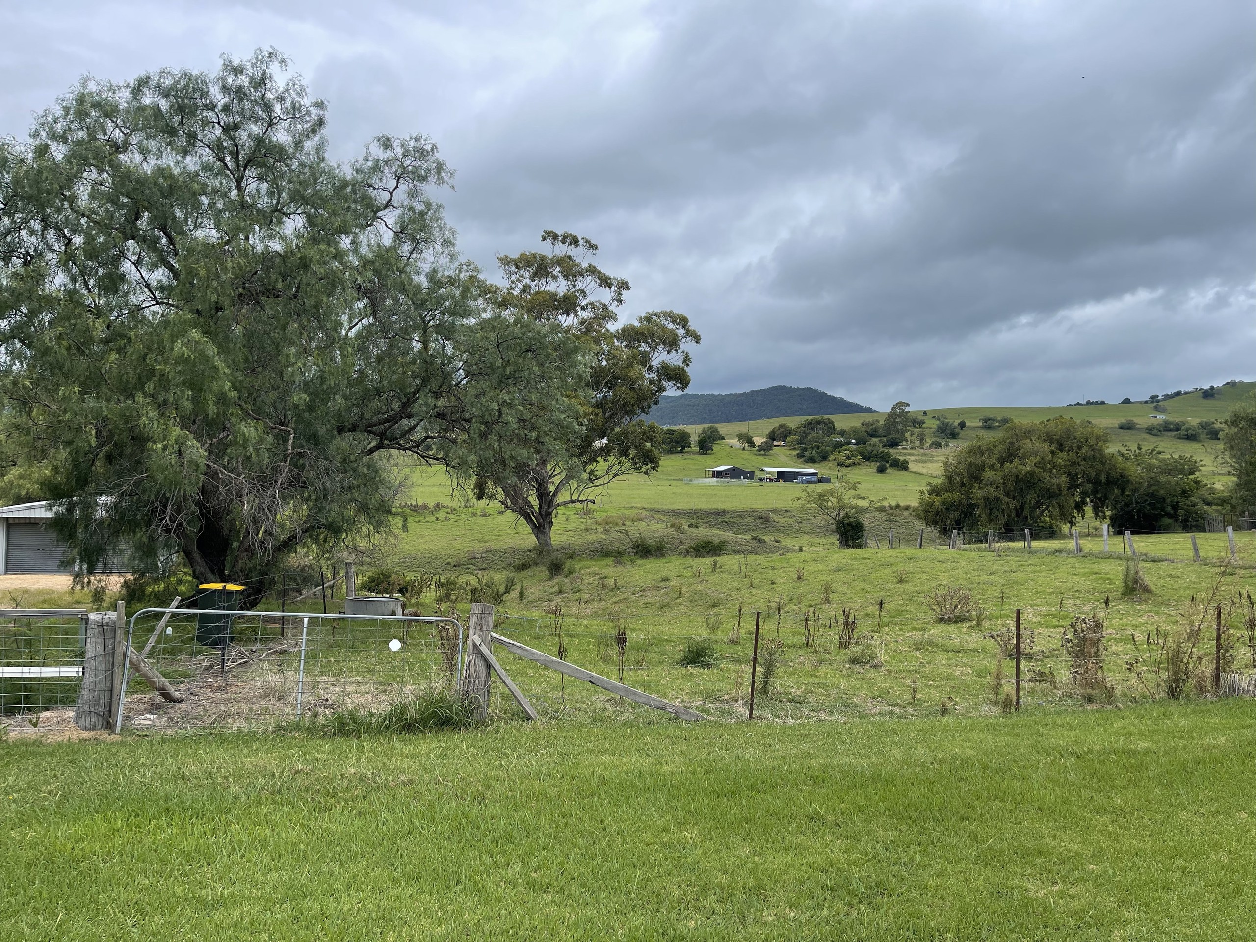 29 Cedar Street, Killarney, QLD 4373