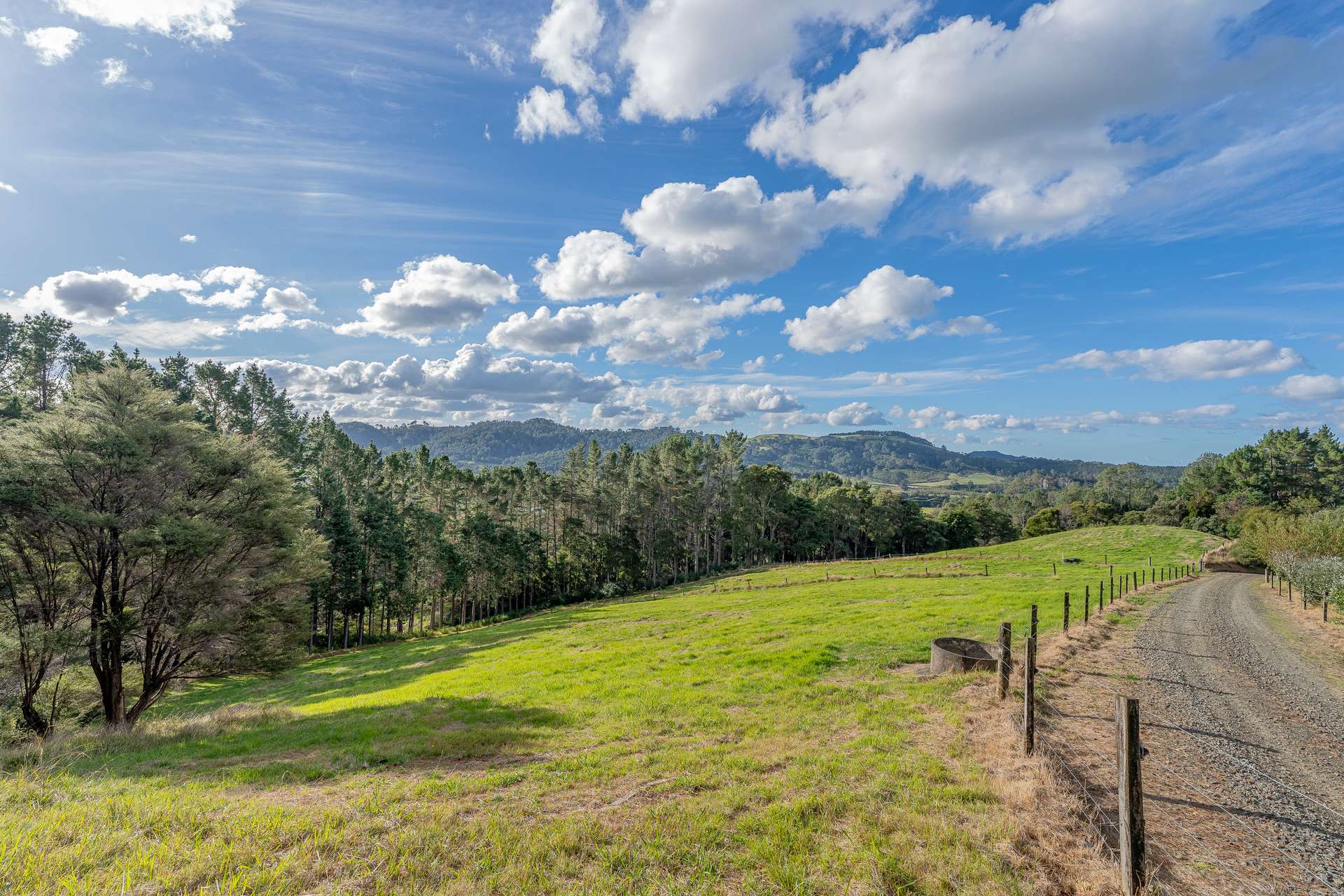 1409 Tairua-Whitianga Rd, Whenuakite photo 5