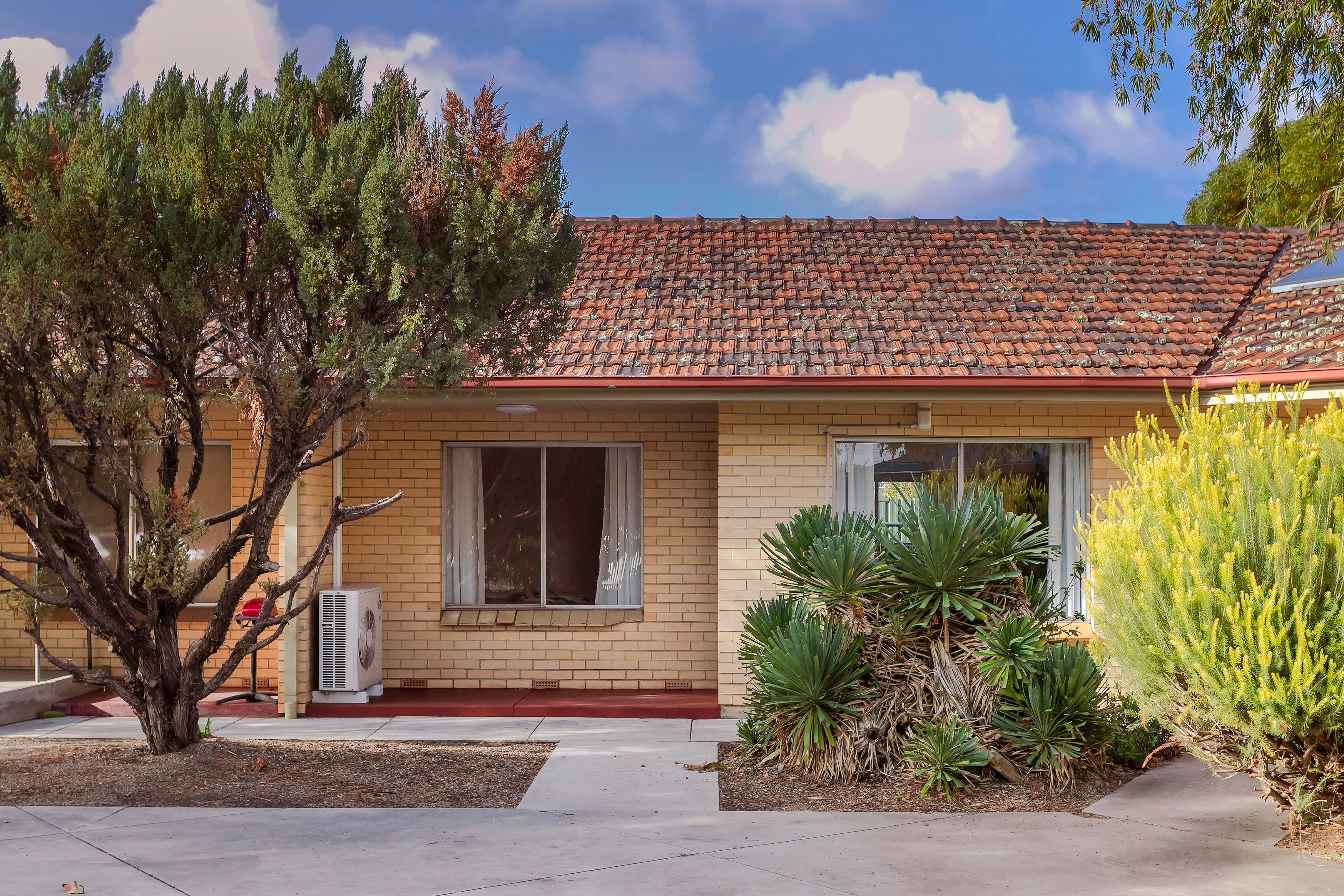 10 Hazel Street, Ascot Park SA 5043