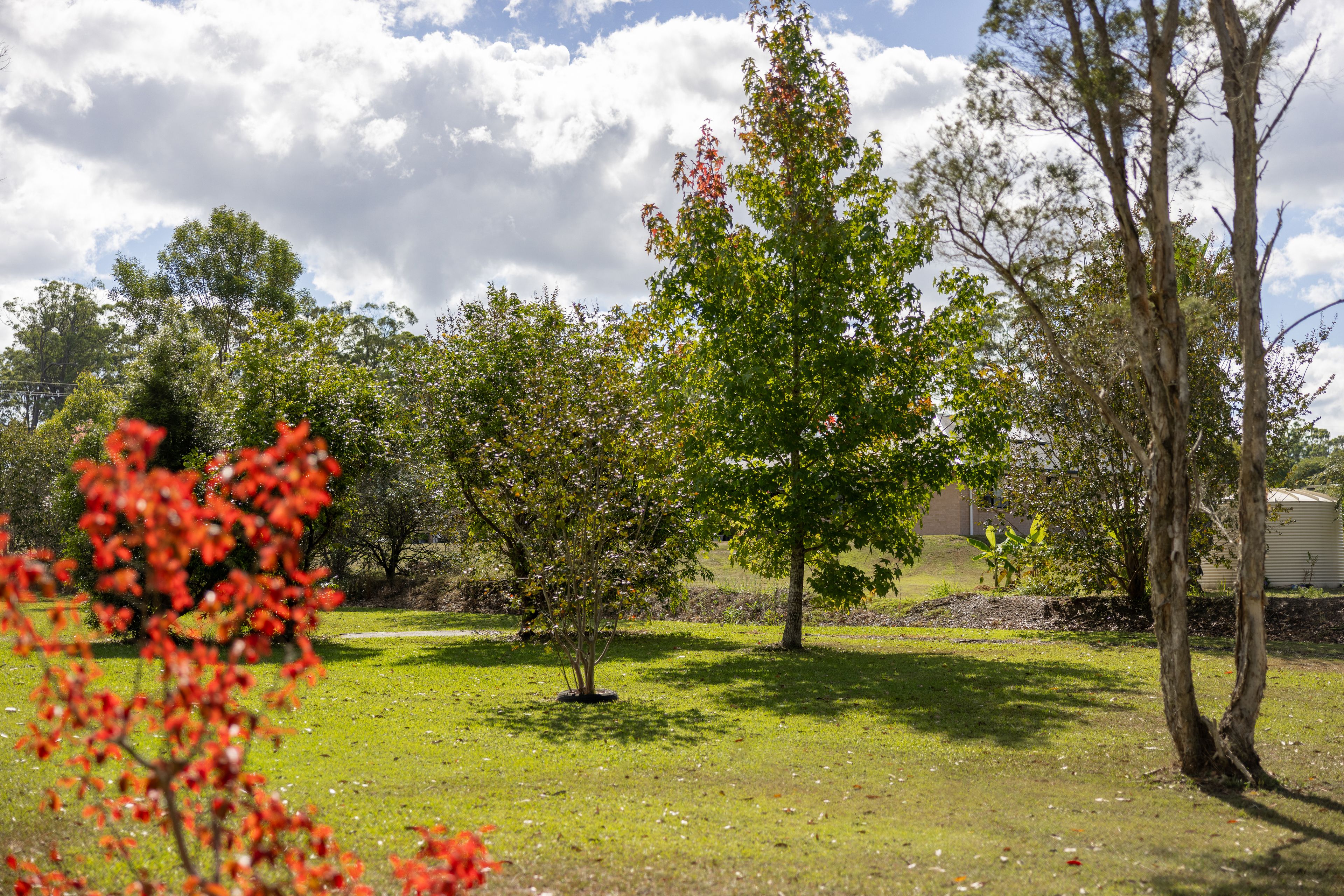 60 Iluka Circuit, Taree, NSW 2430