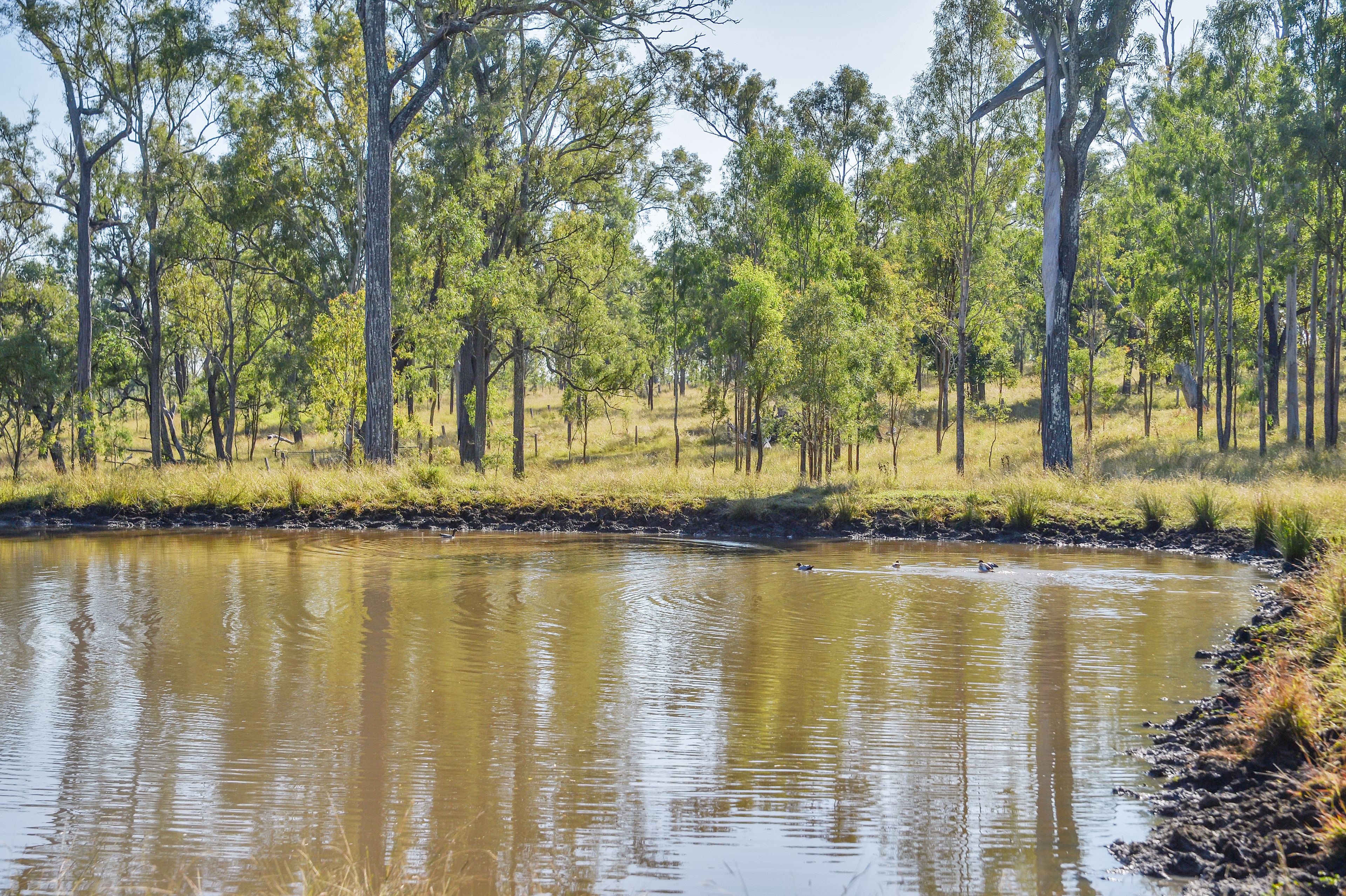 515 Coleyville Road, Coleyville, QLD 4307