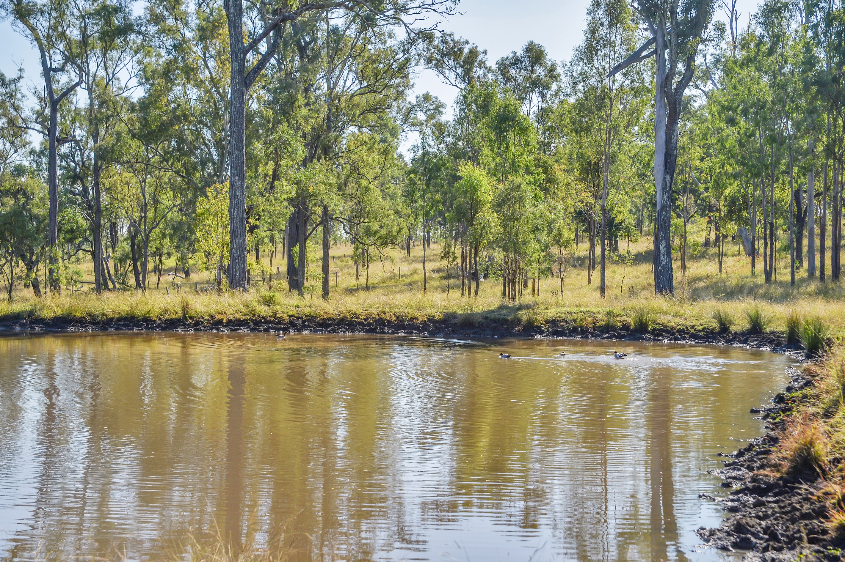 515 Coleyville Road, Coleyville, QLD 4307