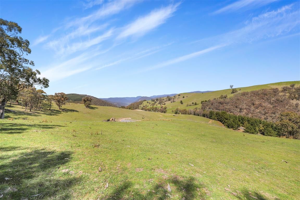 Lot 102 Argalong Road, Argalong, NSW 2720 Land for Sale Ray White Tumut