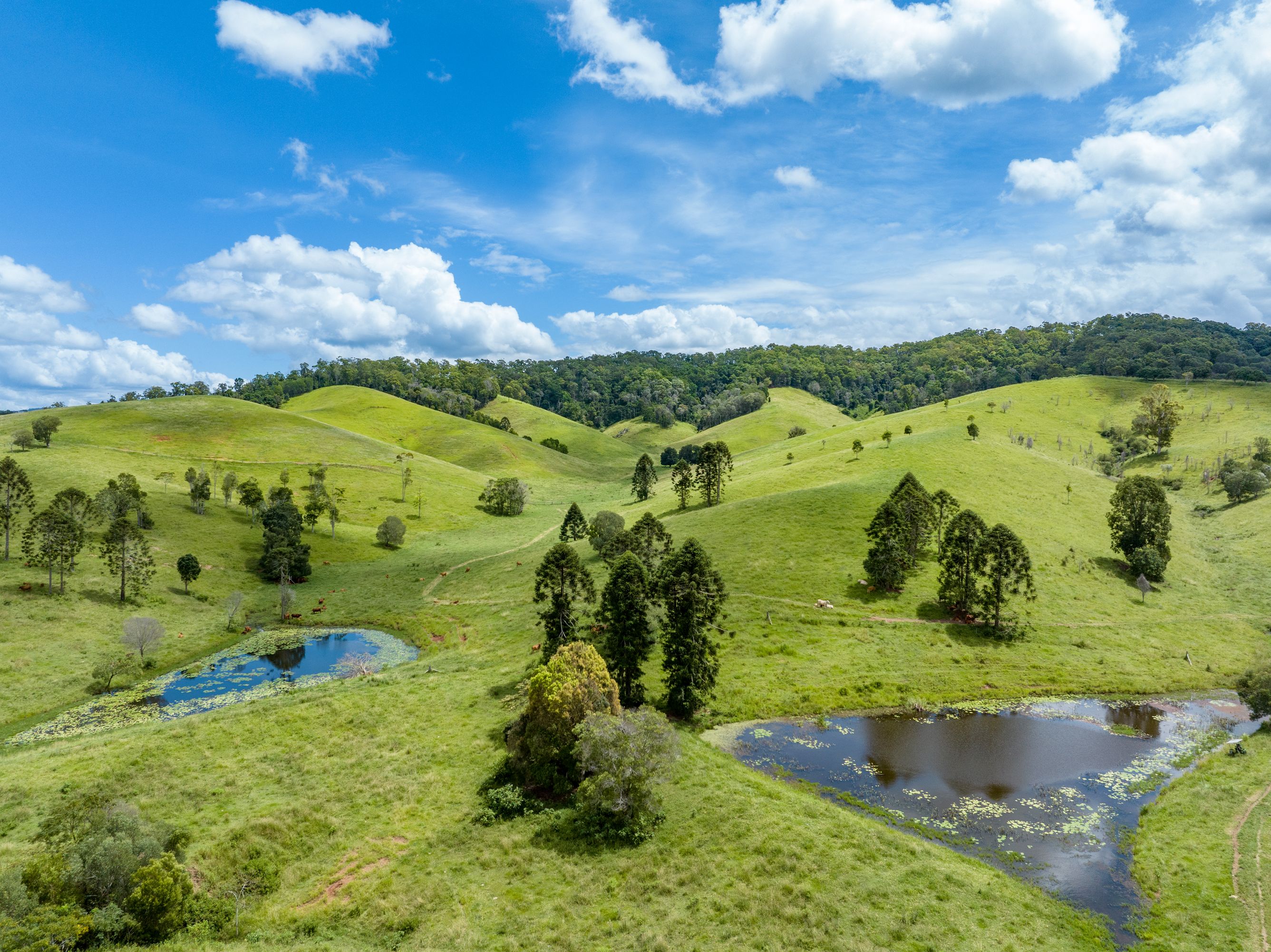 Ray White Rural Queensland