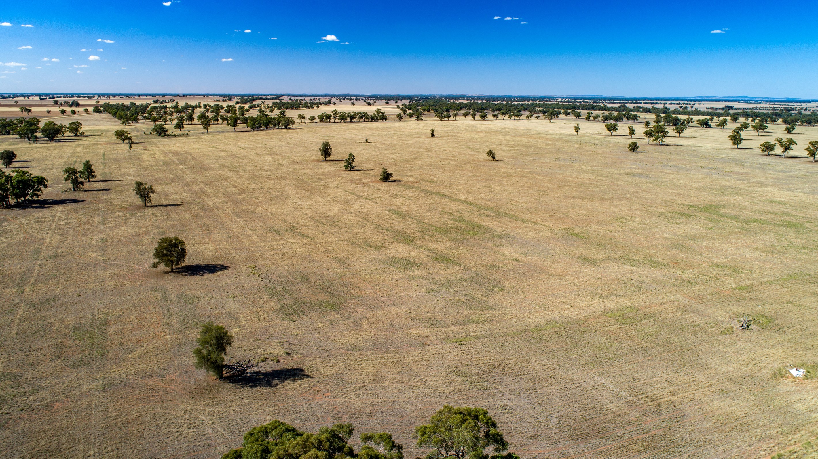 THE ROCK, NSW 2655