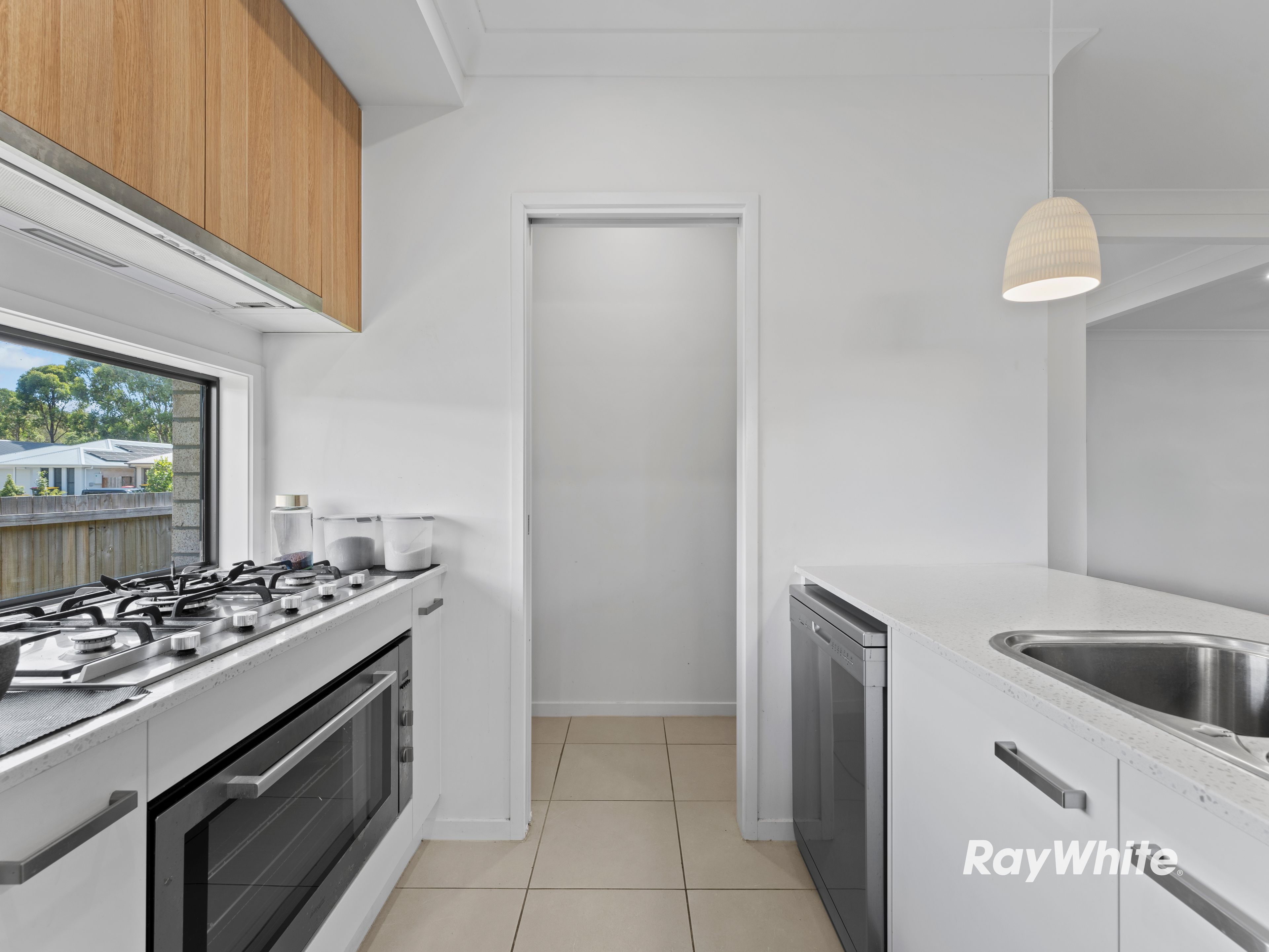 19 Birchwood Street, Park Ridge, QLD 4125