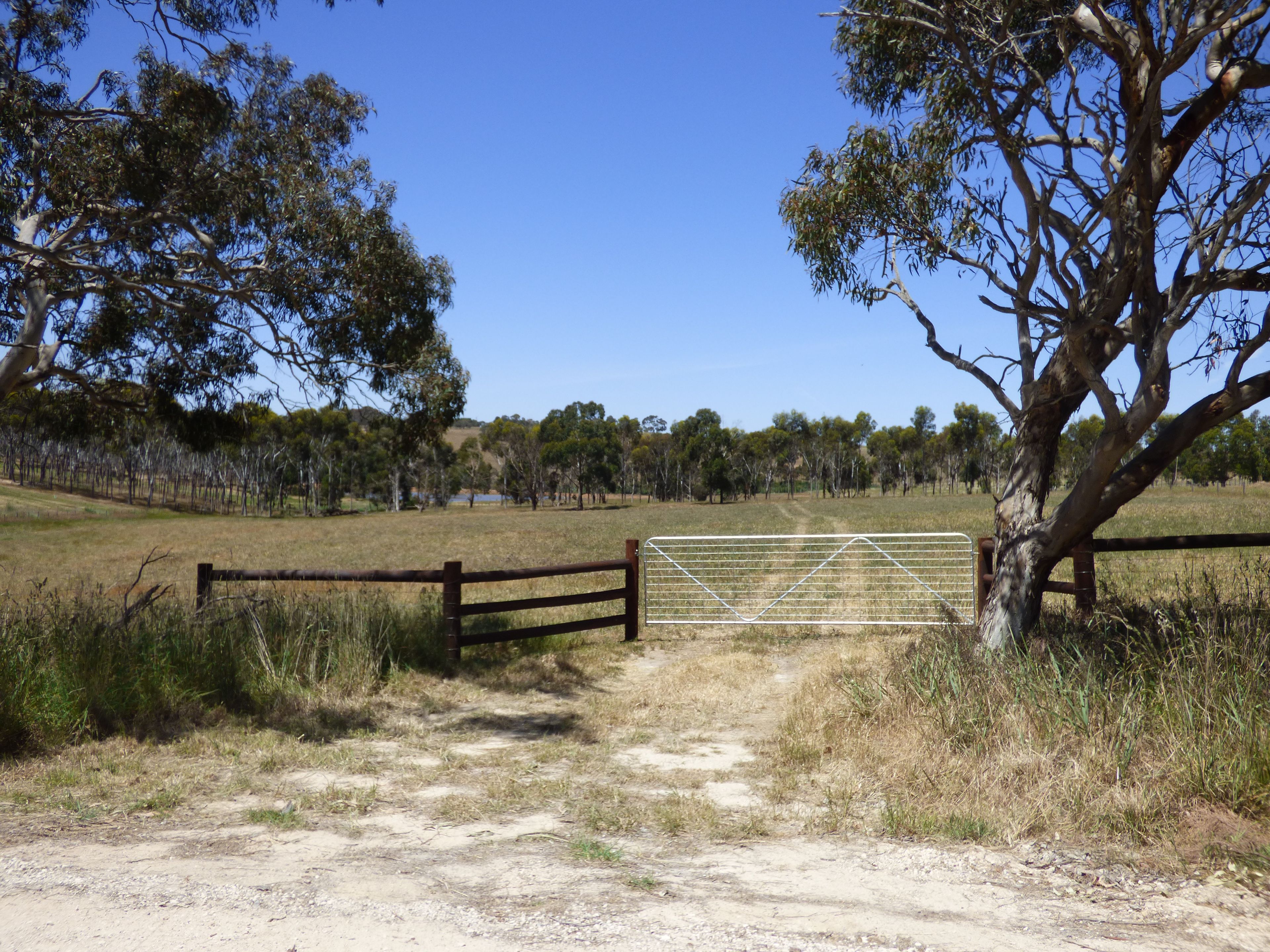 Lot 3 Klenke Road, Wistow, SA 5251