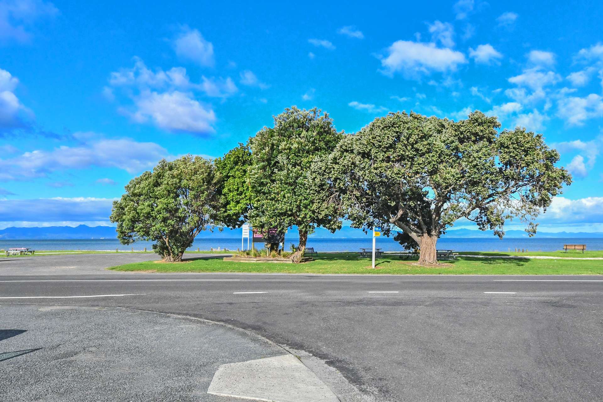 6 Puriri Avenue photo 38