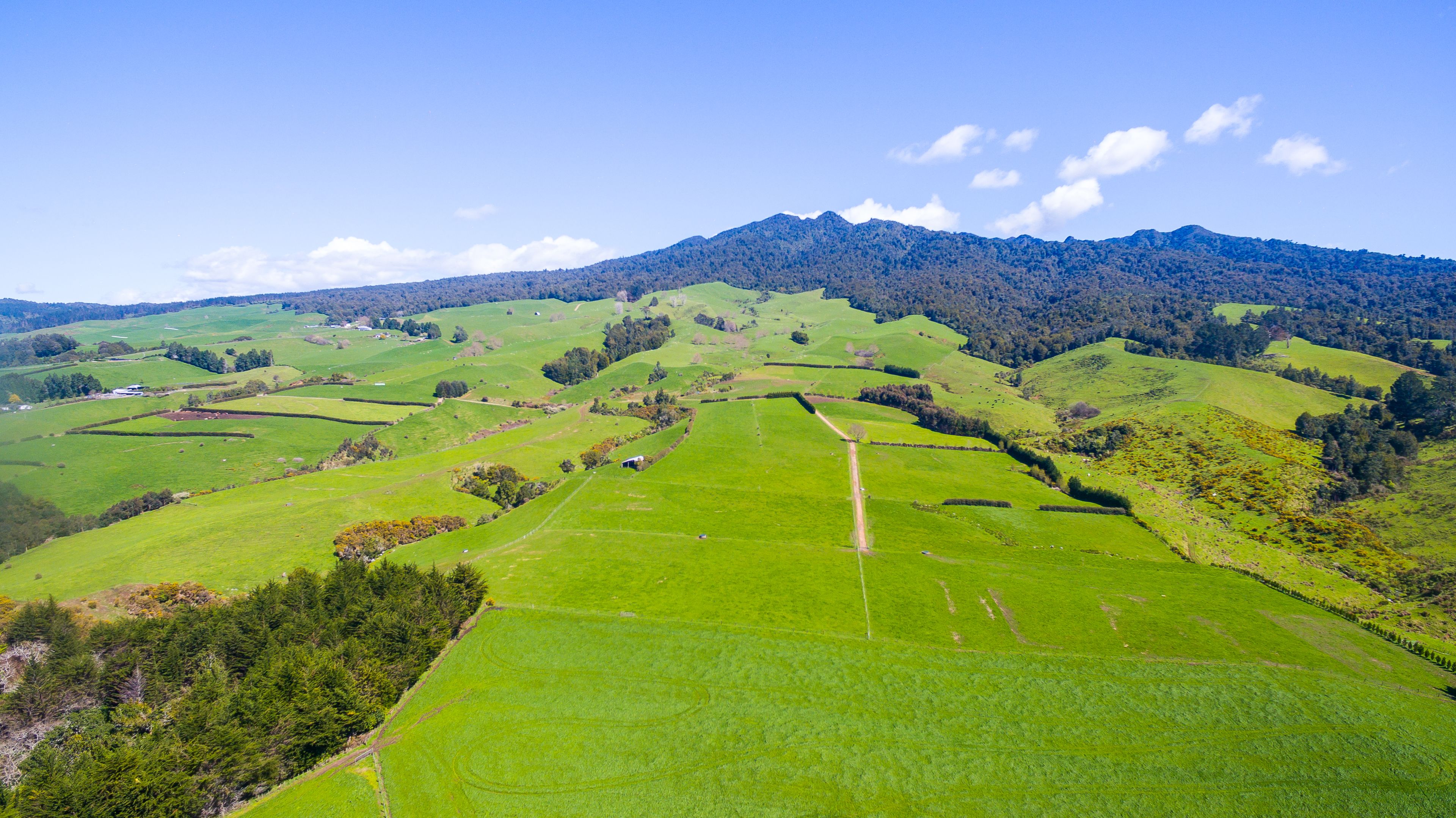 480 O'Shea Road, Pirongia, Waipa District