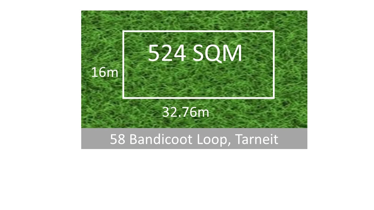 58 Bandicoot Loop, Tarneit, VIC 3029