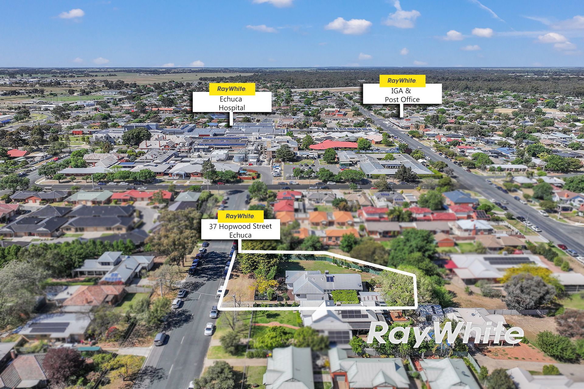 37 Hopwood Street — photo 5 of 17