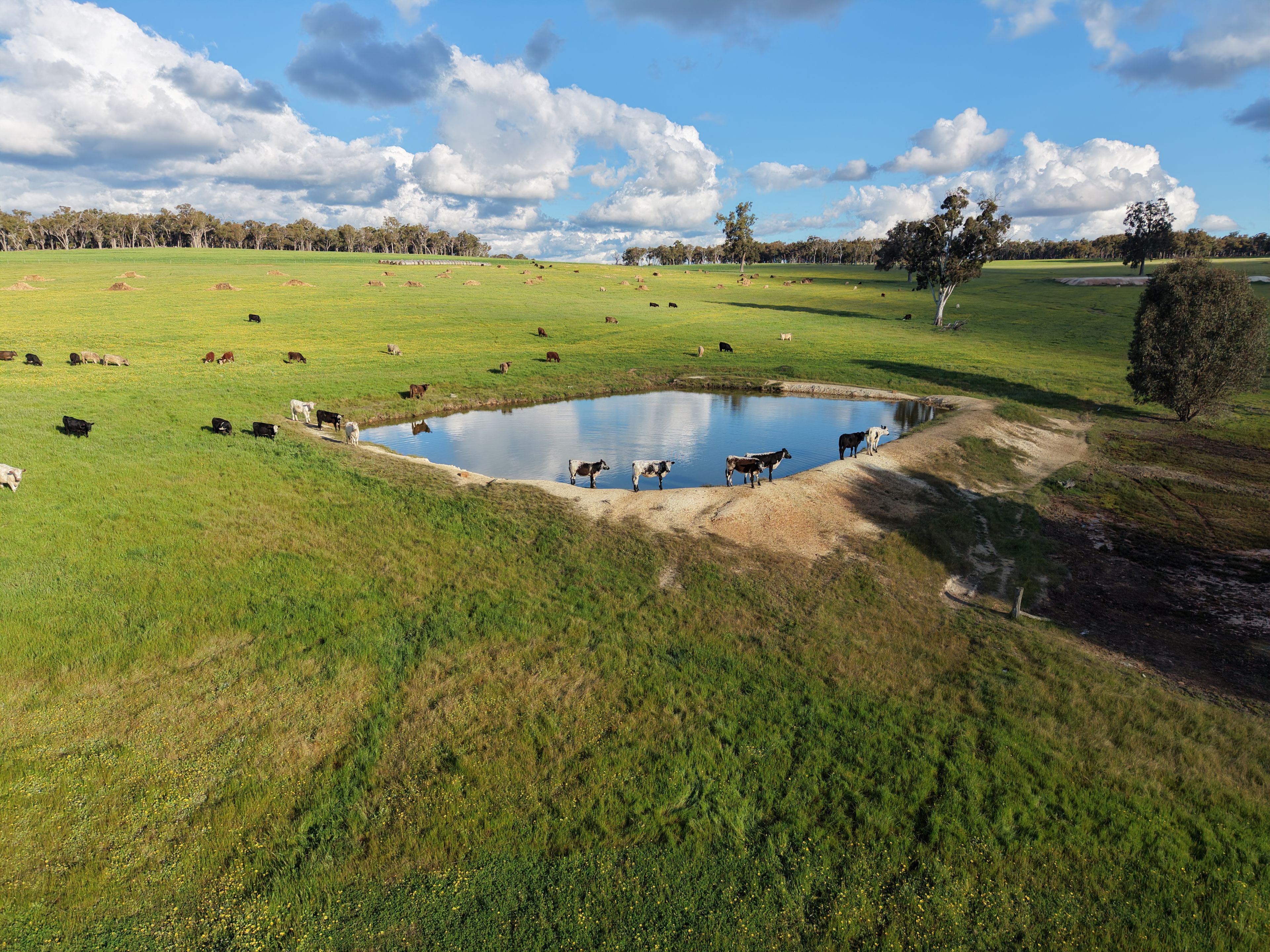 Lot 6694 Scotts Brook Road — photo 3 of 9