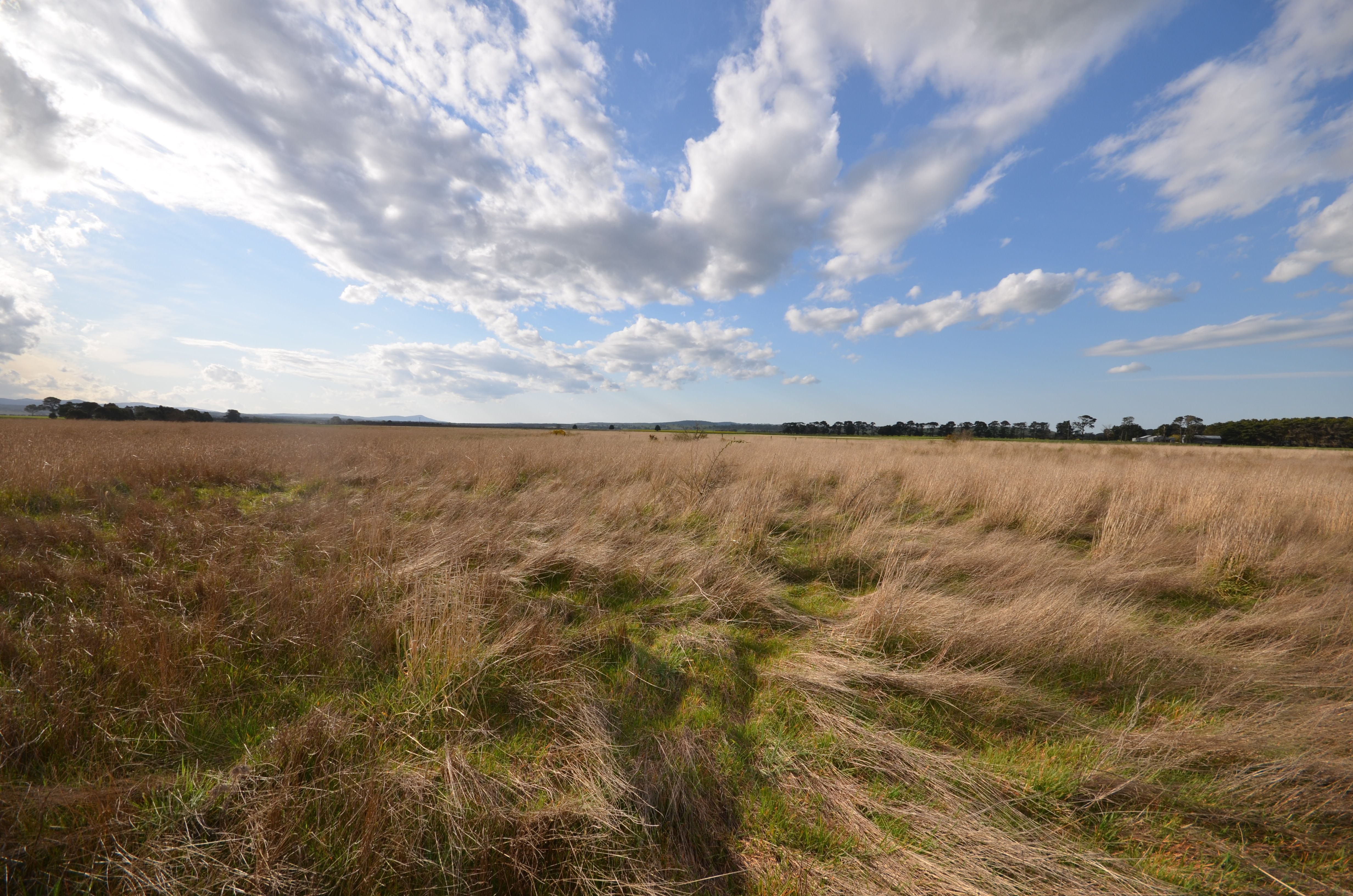 CA 24 Trawalla - Waterloo Road, TRAWALLA, VIC 3373