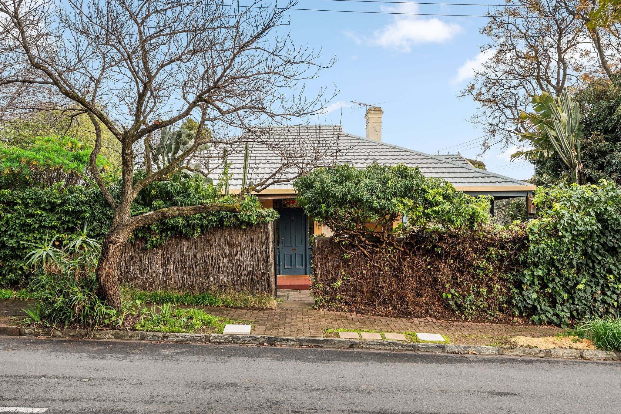 18 Morcomb Street, Stepney, SA 5069
