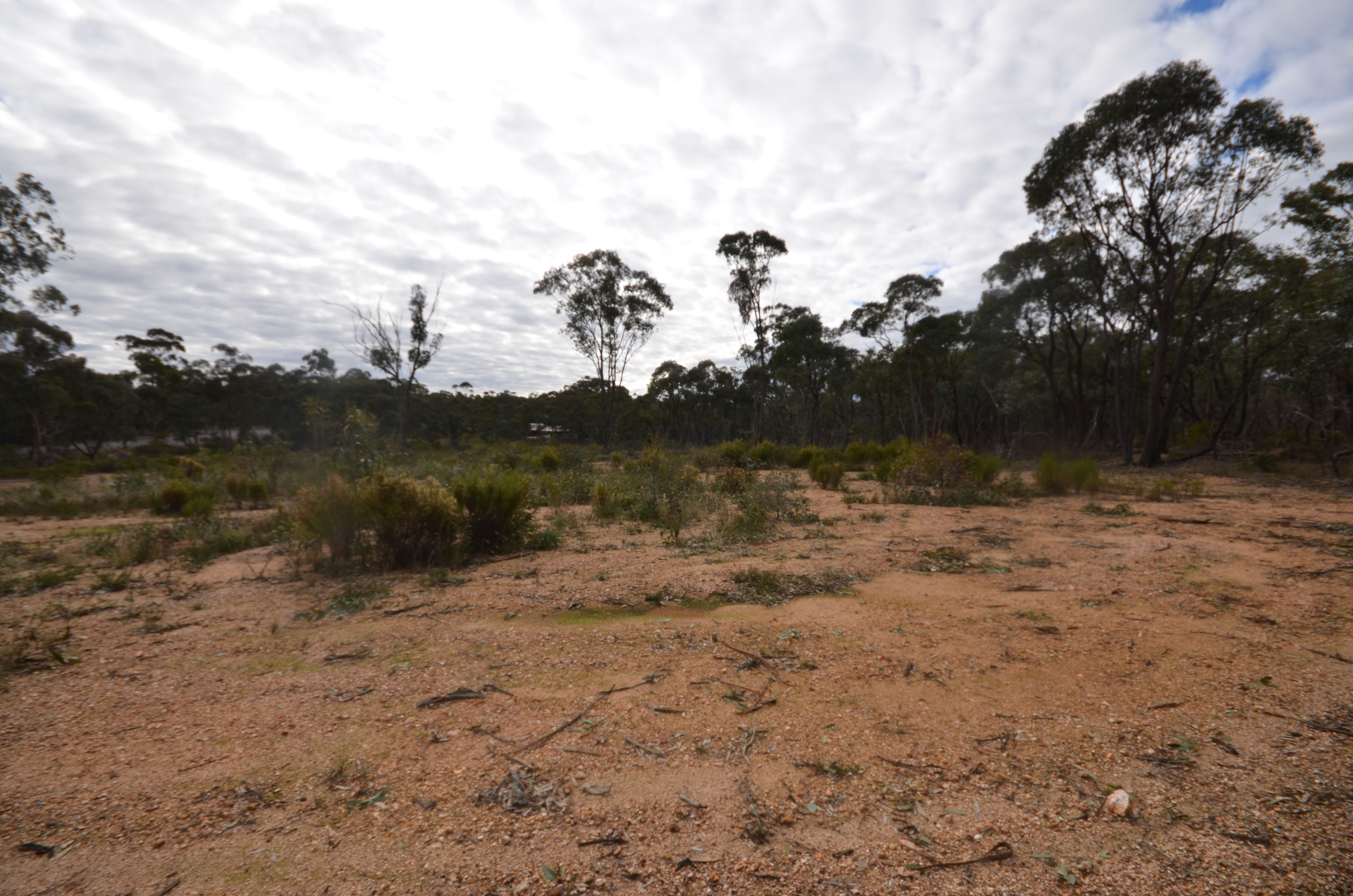 Lot 3, 95-113 Junortoun Road, Junortoun, VIC 3551
