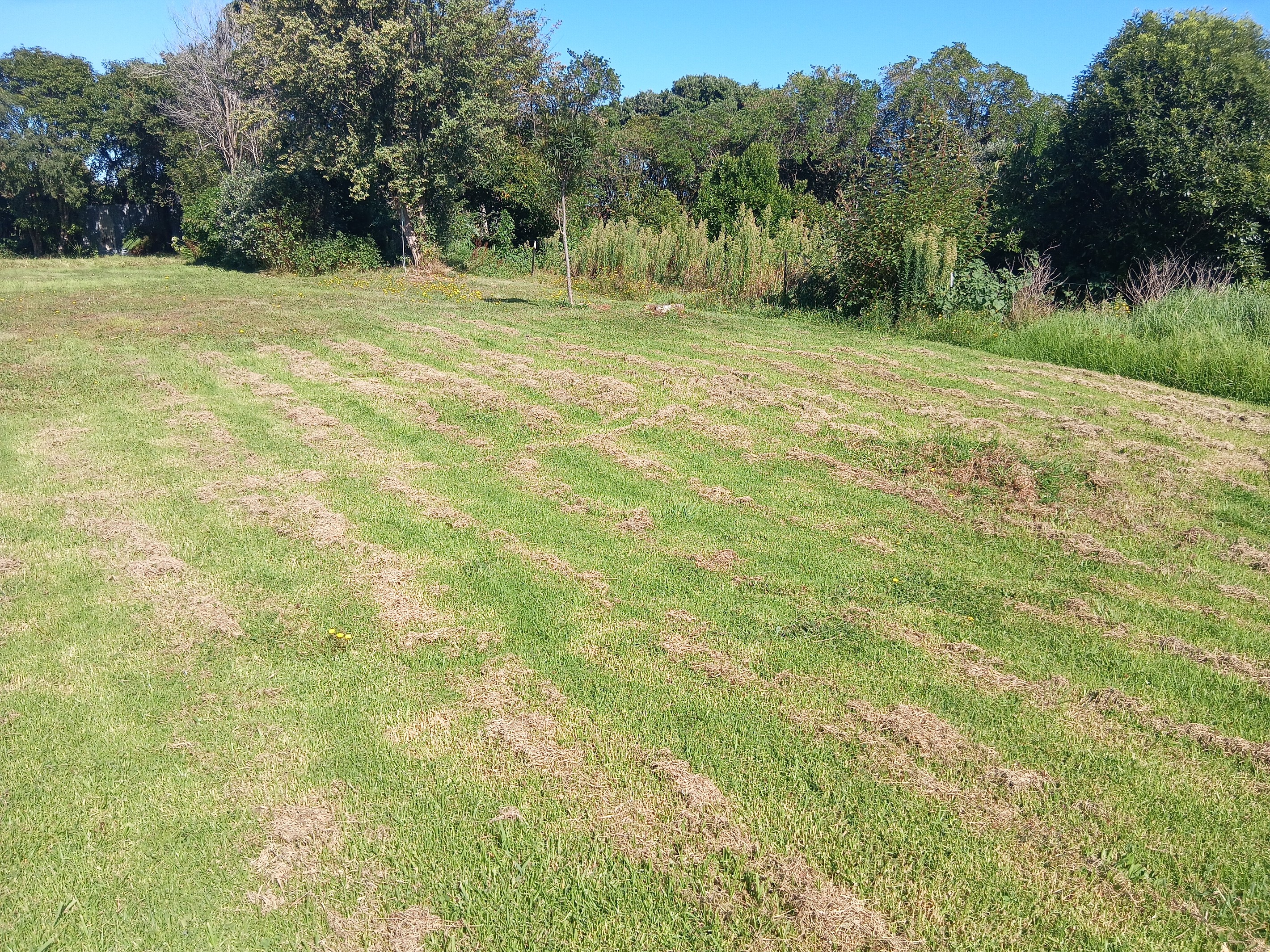 Lot 1/40 Tyler Road, Ngakawau, Buller District