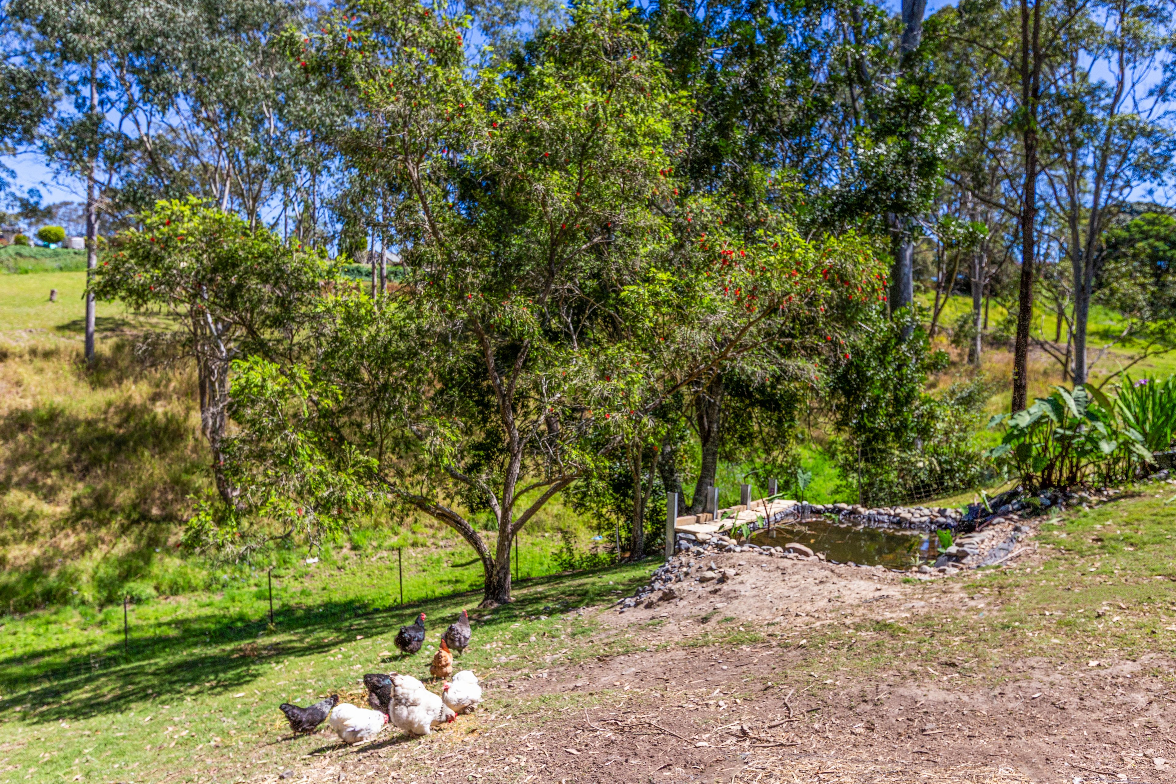 3 Hilda Close — photo 23 of 25