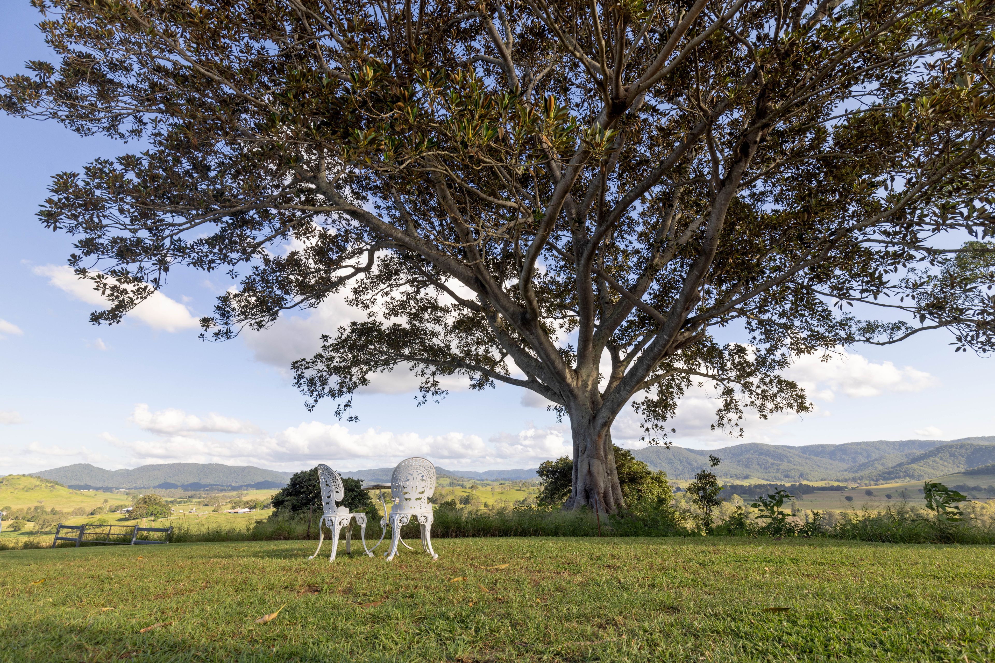 "Riverdance" 2138 Maleny - Kenilworth Road — photo 18 of 30