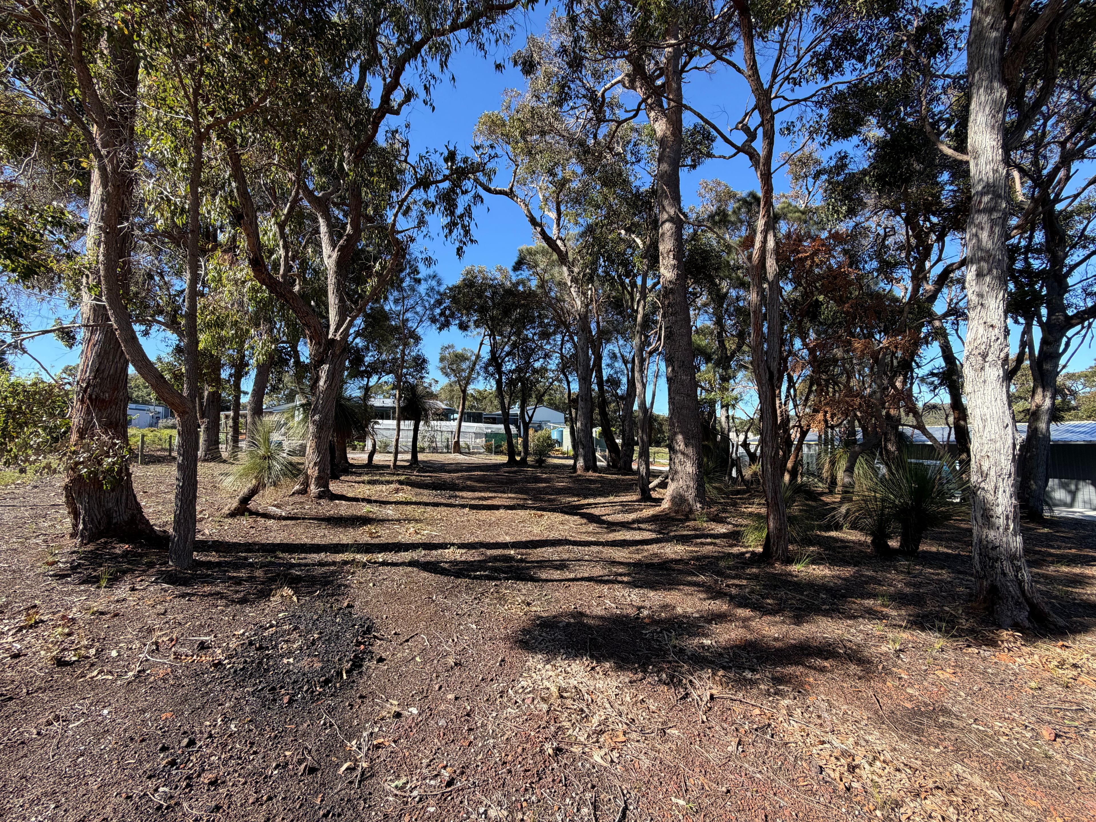 20 McCallum Way — photo 4 of 4