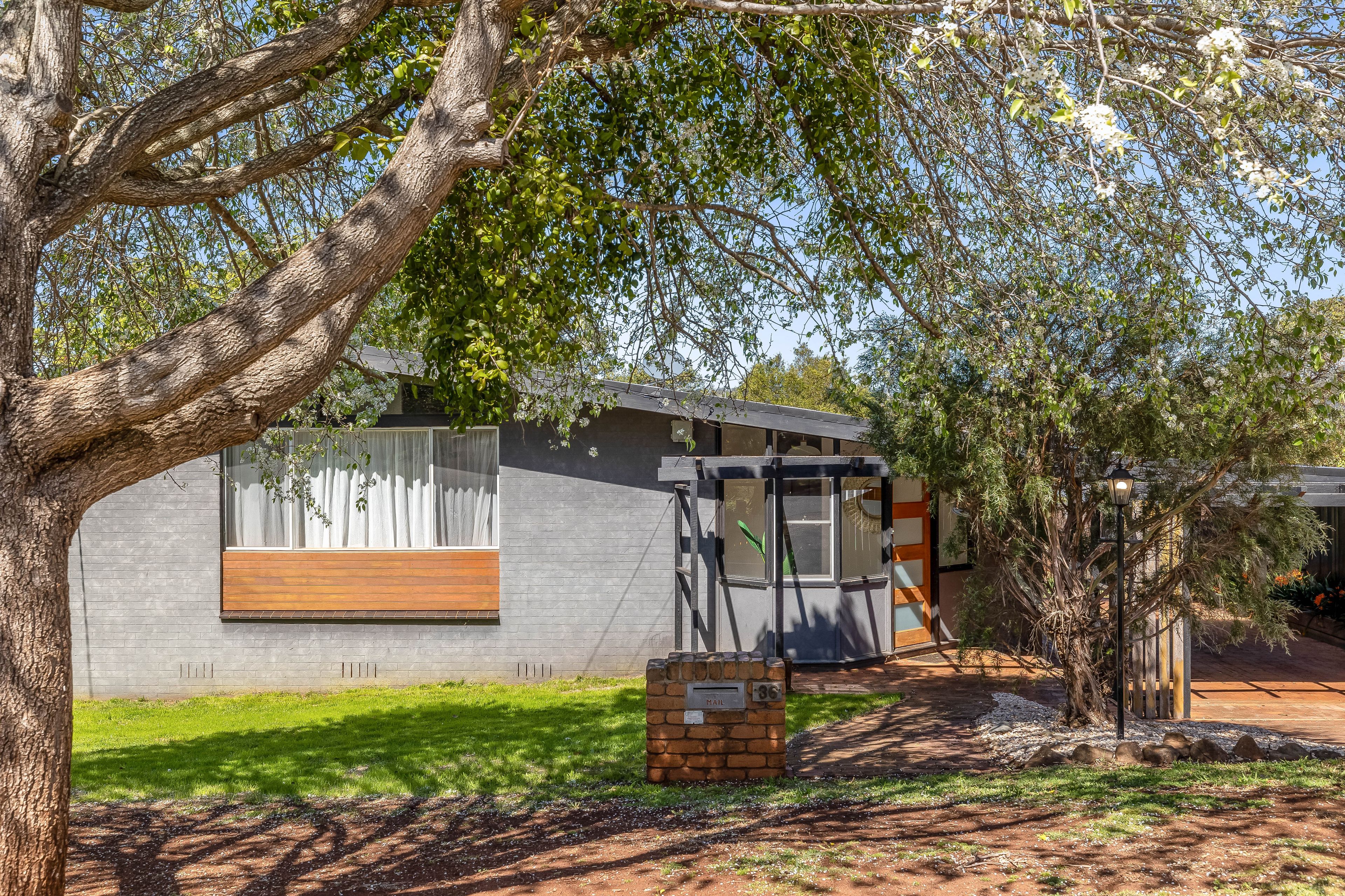 36 Debra Street, Centenary Heights, QLD 4350