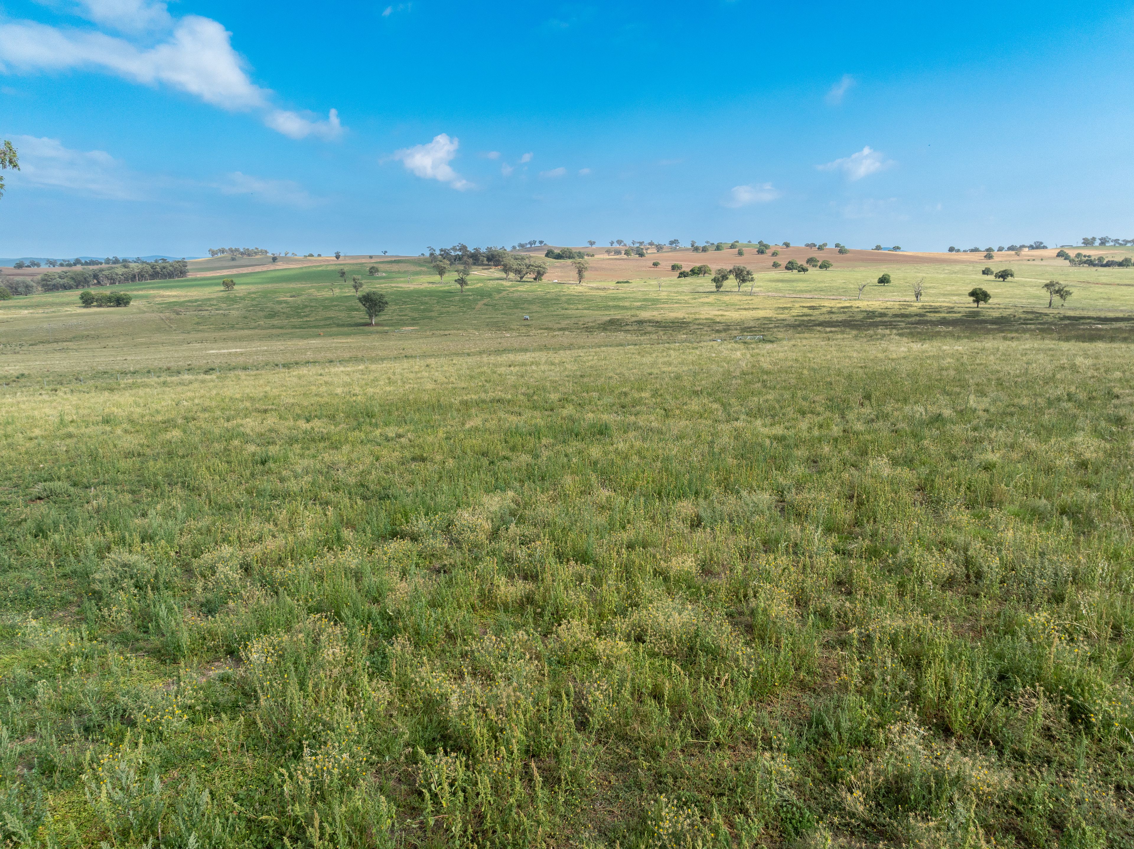 "Highfield East" "Highfield East" 170 Kurrajong Road, Cudal, NSW 2864 Rural Lifestyle