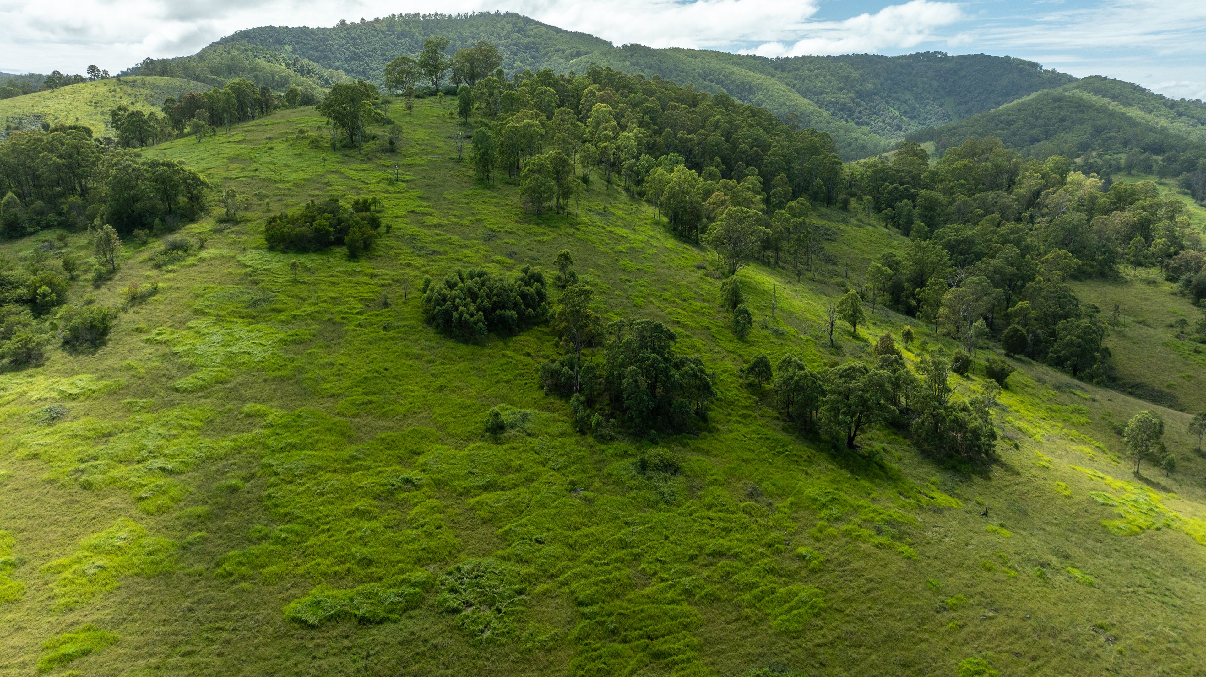 664 Bowman Farm Road, Bowman, NSW 2422 Sold Rural Mixed Farming