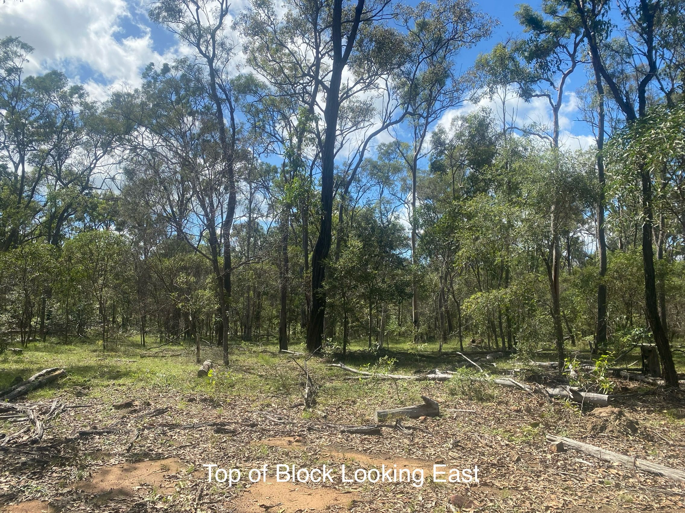 Barrs Road, Bucca QLD 4670