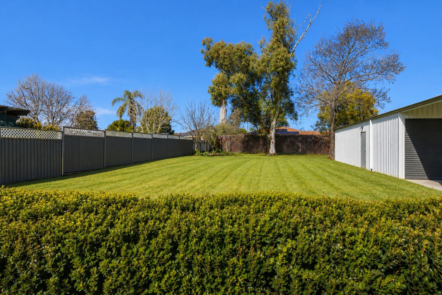 83 Whiteley Street — photo 28 of 30