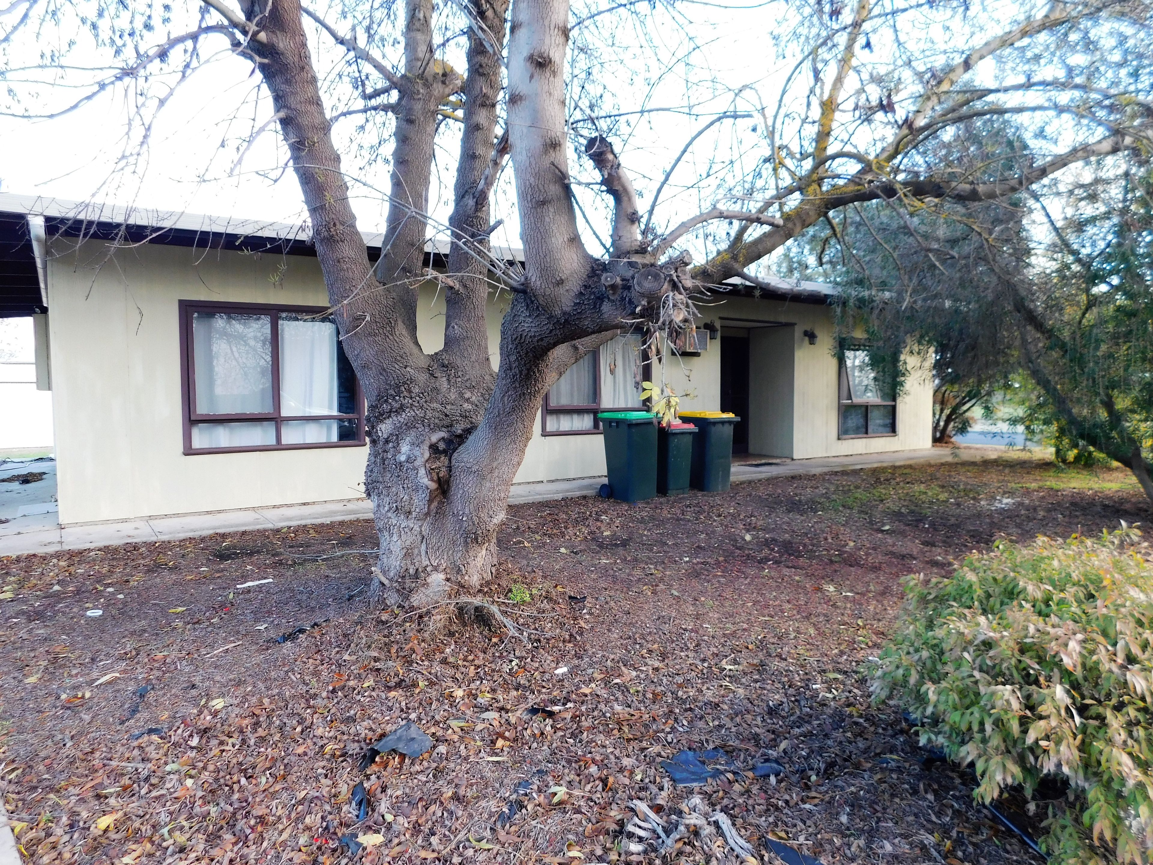 30 Bertha Street, Bordertown SA 5268
