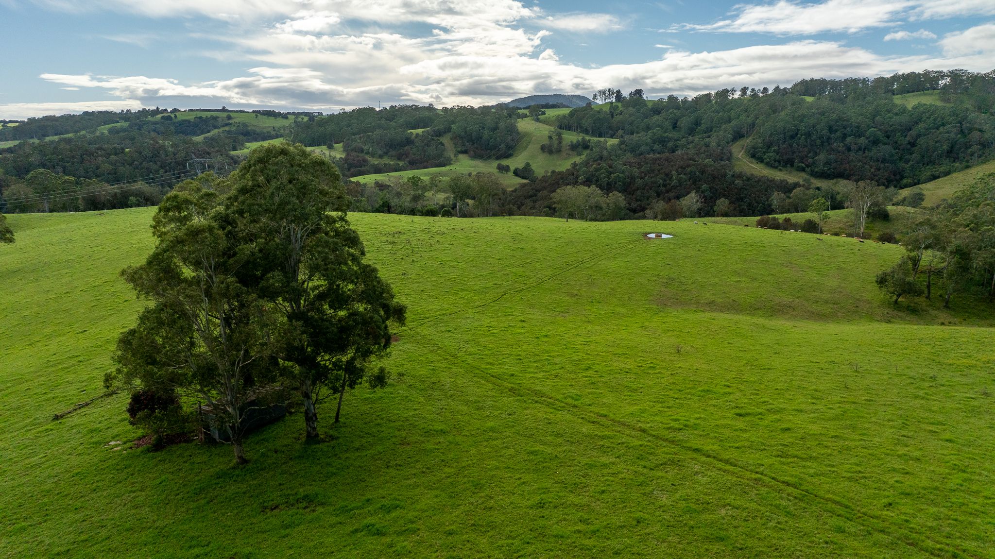 624 Deer Vale Road, Dorrigo, NSW 2453 Rural Property for Sale Ray