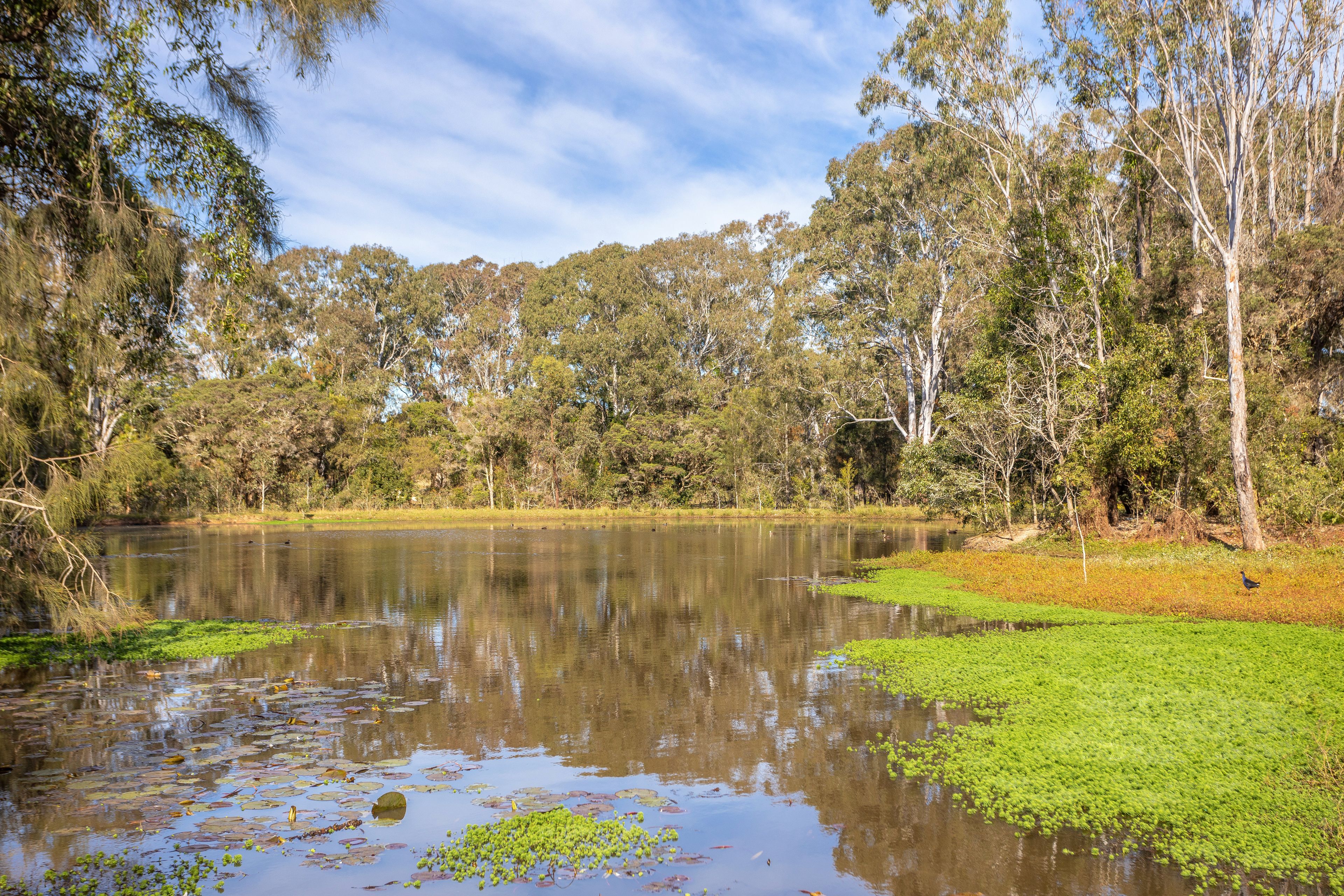 97 Glenthorne Road, Glenthorne NSW 2430