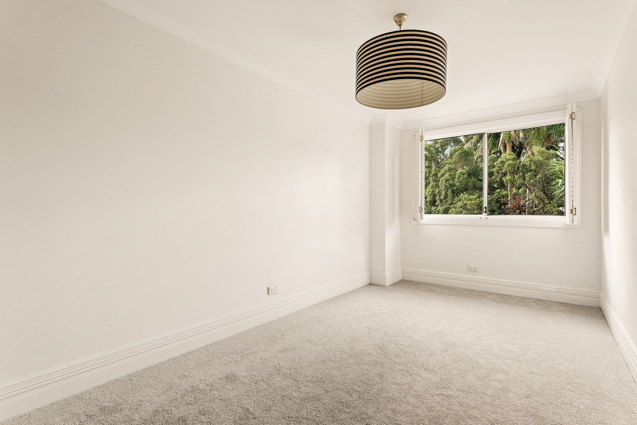107 Darley Street — photo 6 of 9