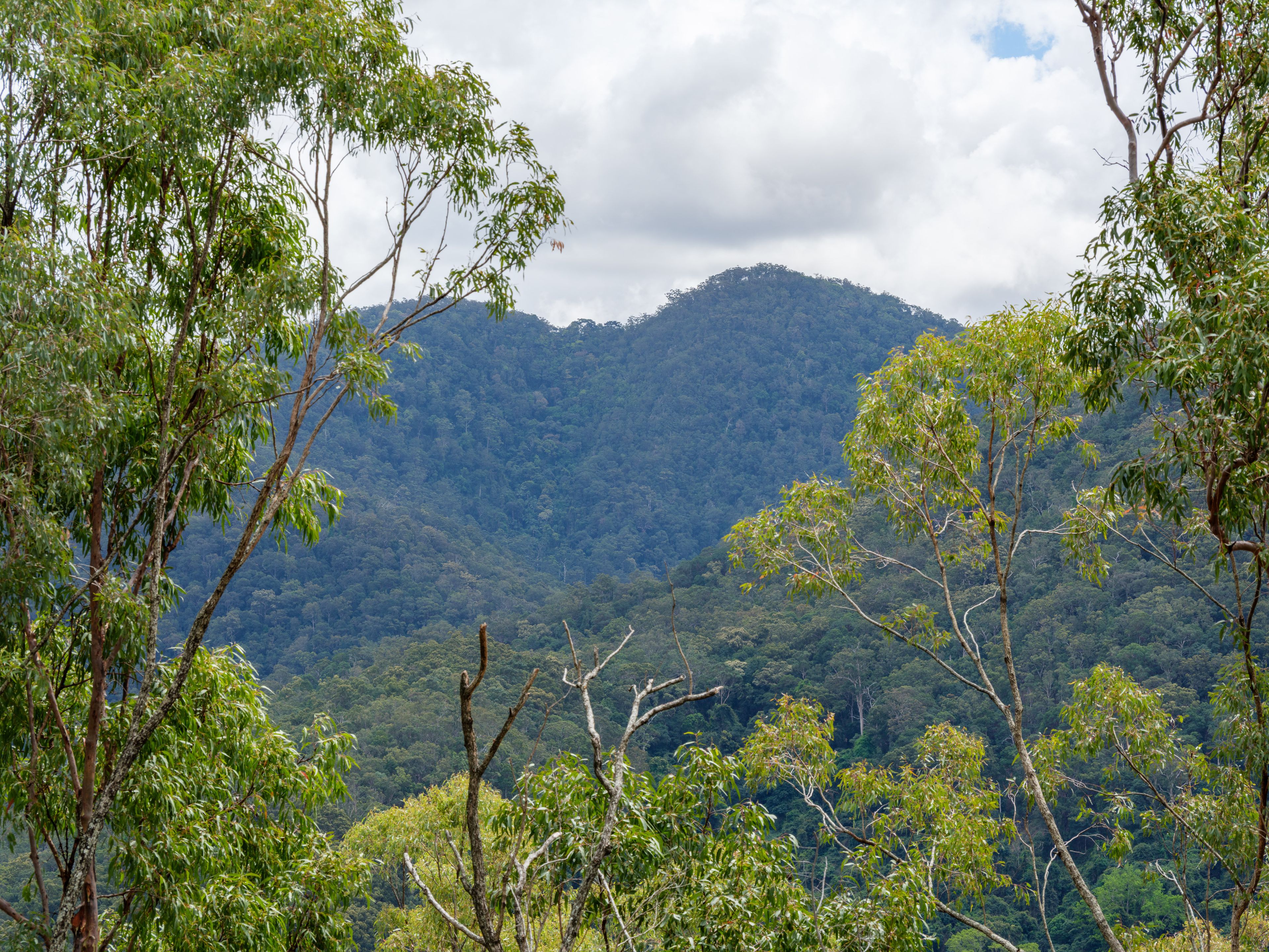 9.98 Hectares of Opportunity — photo 14 of 14