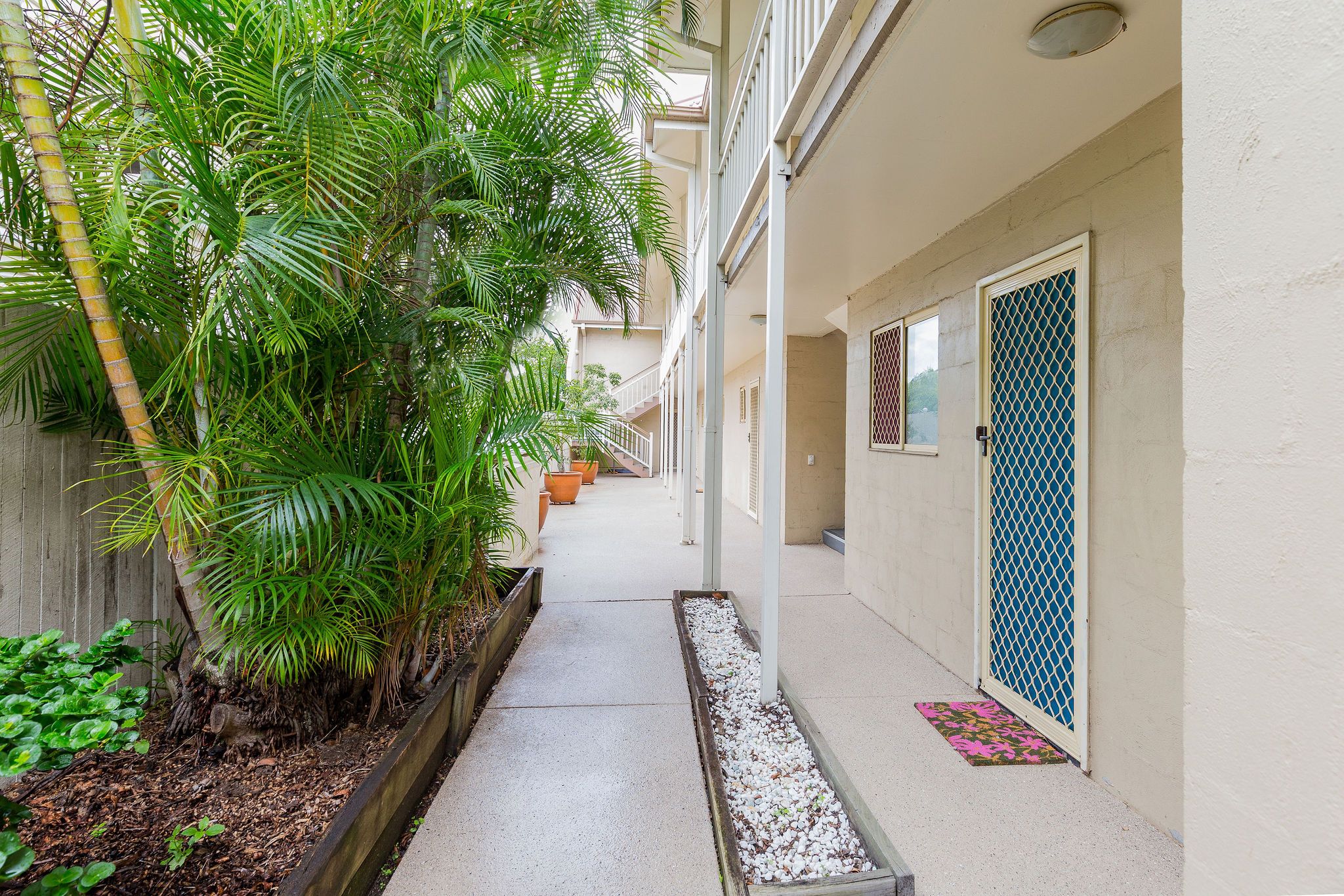 11/186 Petrie Terrace, Petrie Terrace, QLD 4000