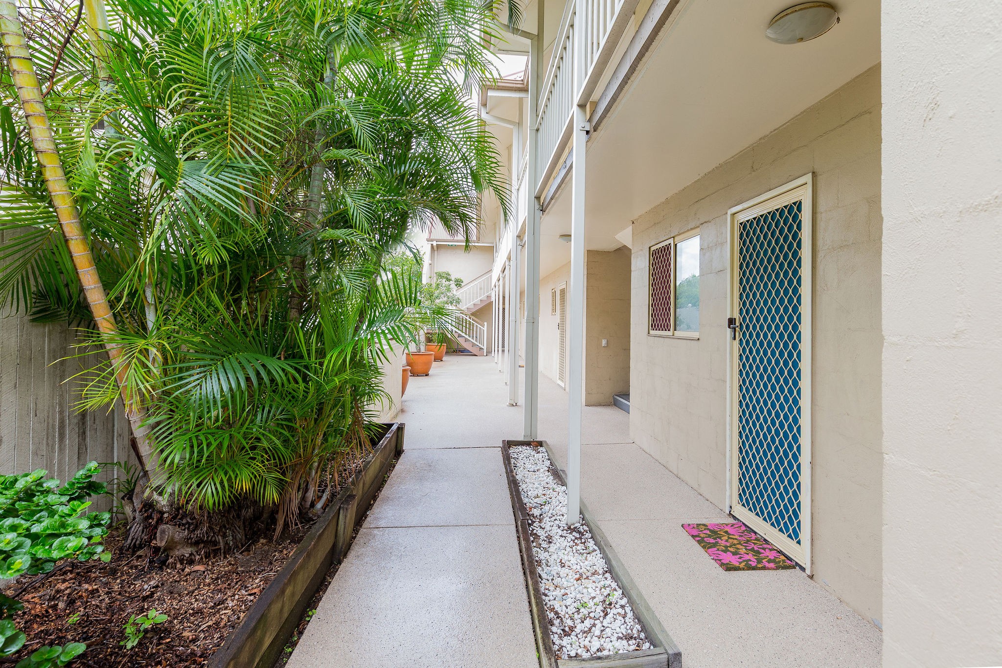 11/186 Petrie Terrace, Petrie Terrace, QLD 4000