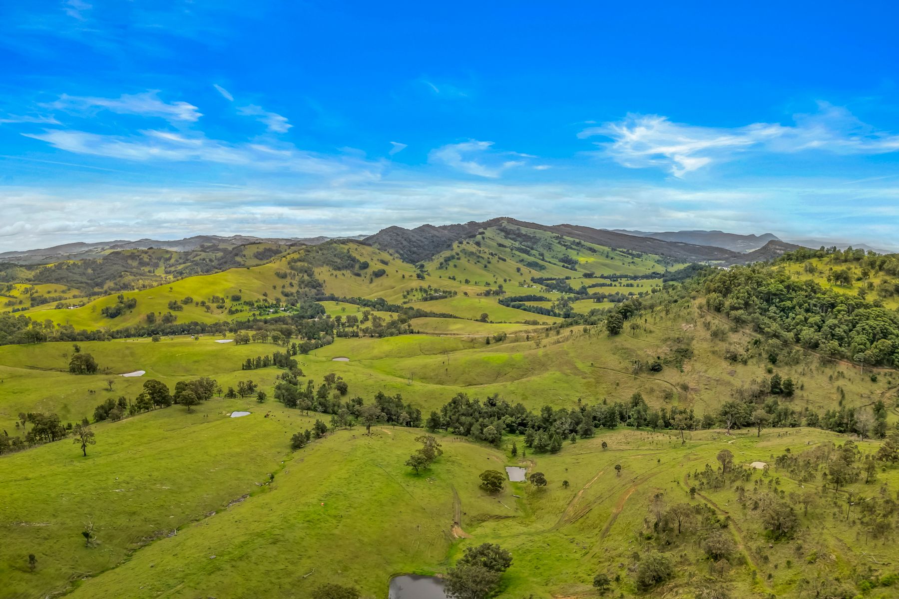 Carrowbrook Road Mount Olive — photo 3 of 15