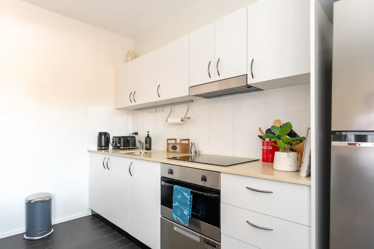 12/123 Lilyfield Road, Lilyfield, NSW 2040