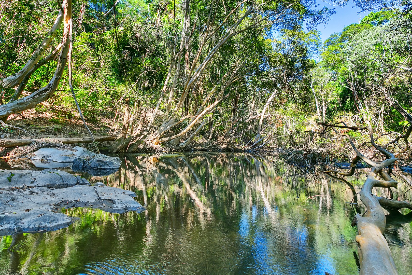 242 Ganyan Drive, Speewah, QLD 4881