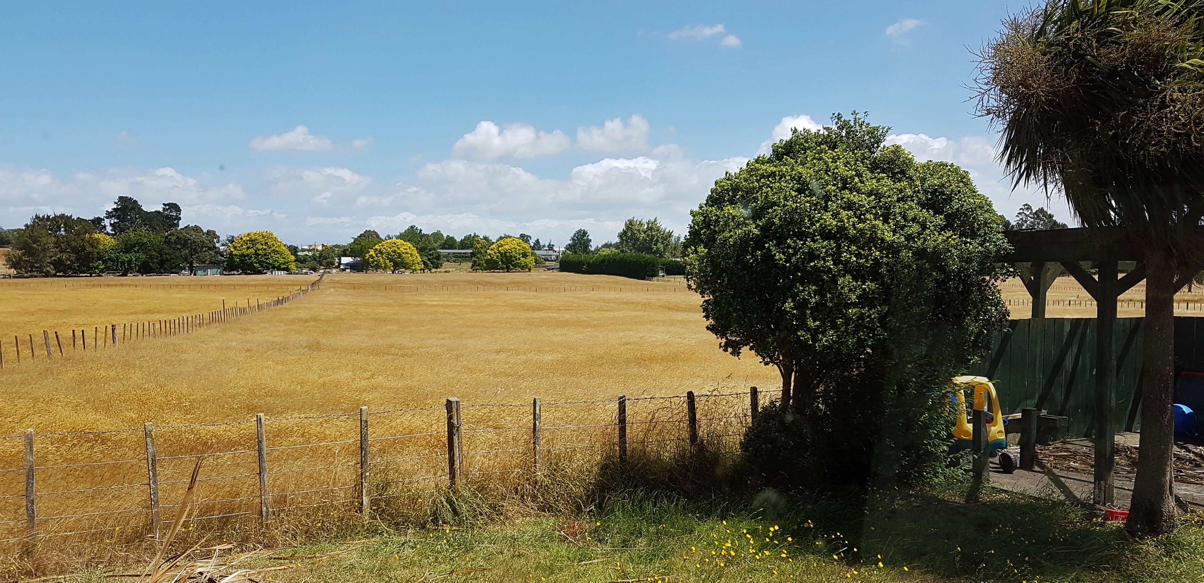 9 Kowhai Place, Waipukurau, Central Hawke's Bay District