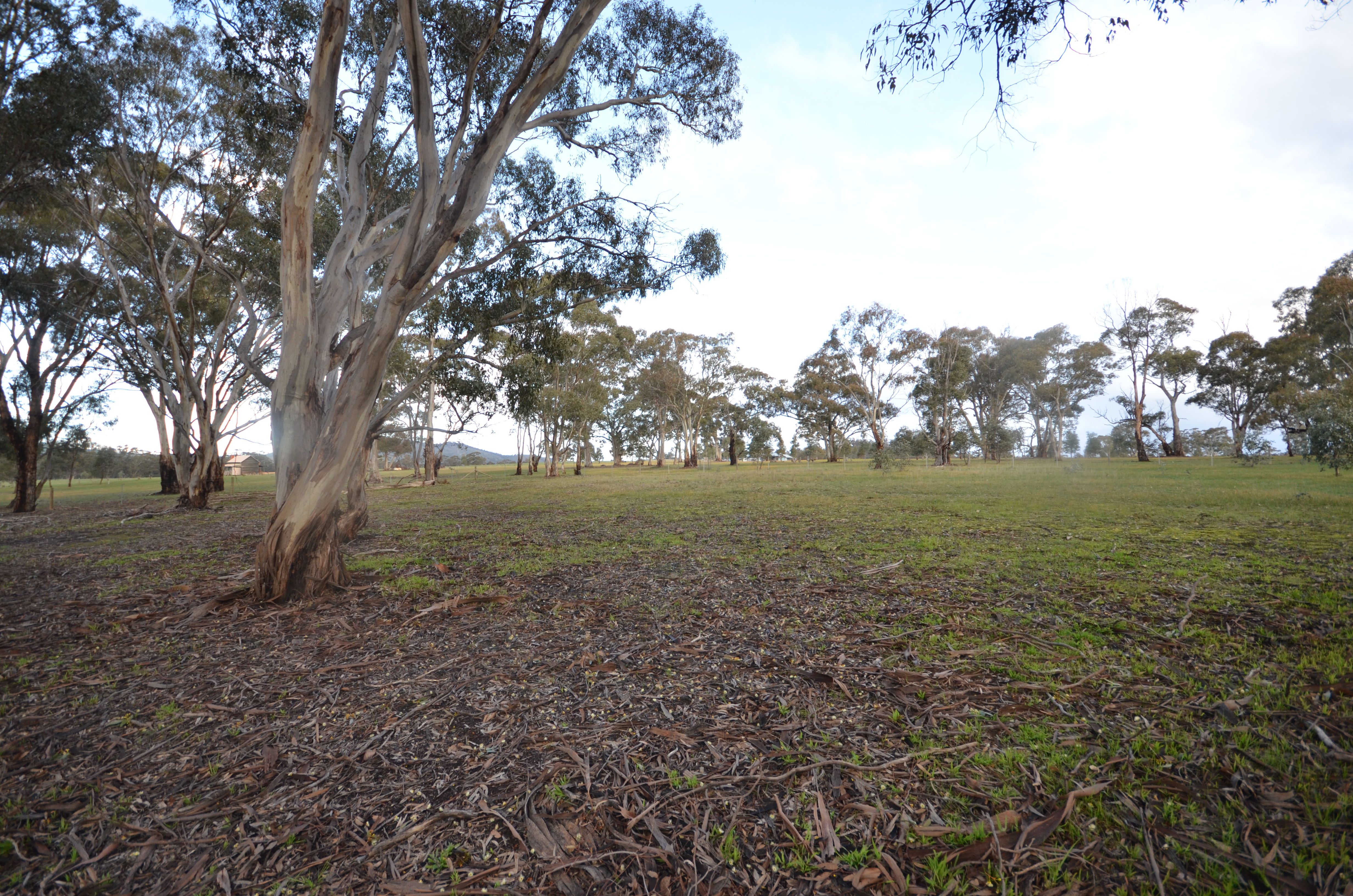 CA 2 Redbank-Barkly Road, REDBANK, VIC 3477