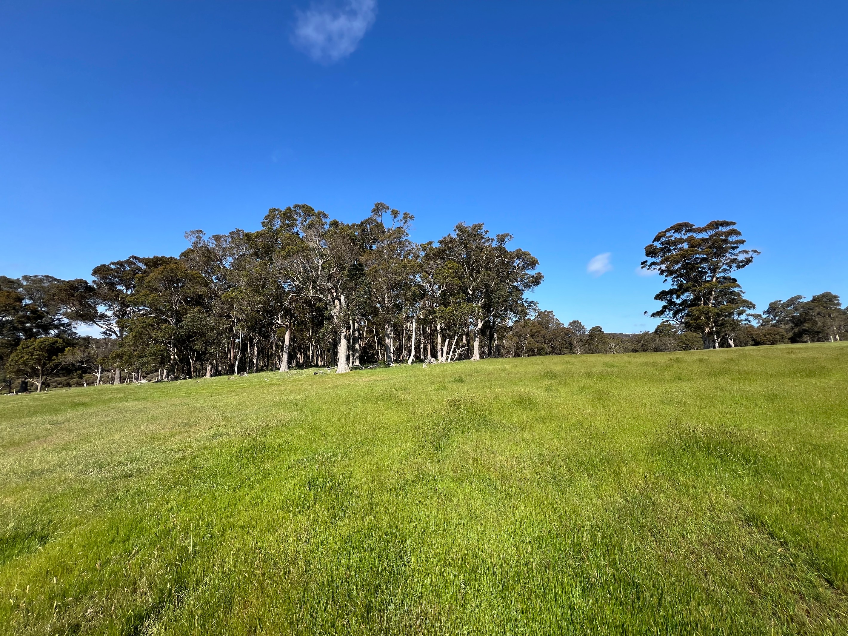 173 Walter Road, Scotsdale, WA 6333