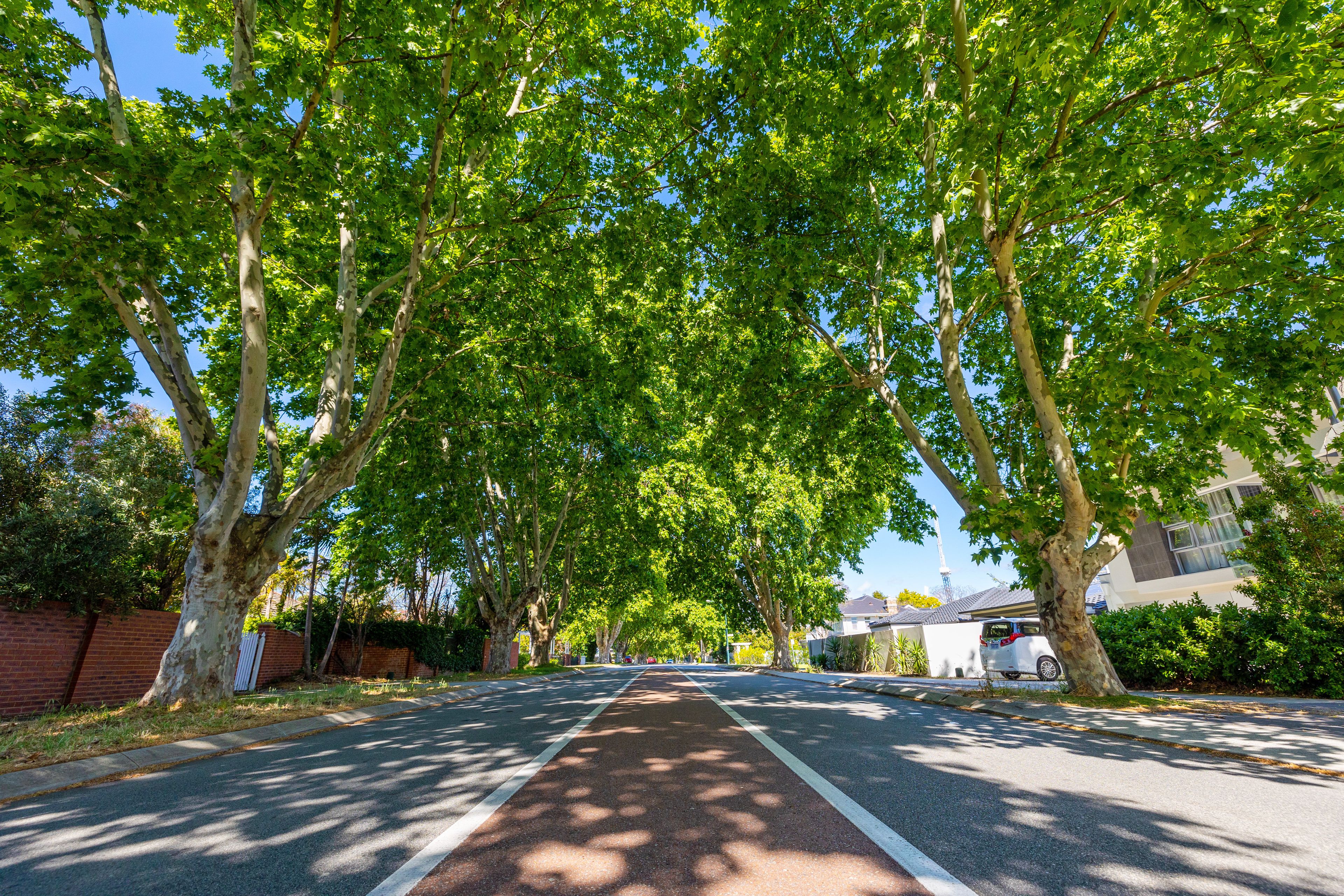 5/13 Macleod Road, Applecross, WA 6153 Sold Townhouse Ray White