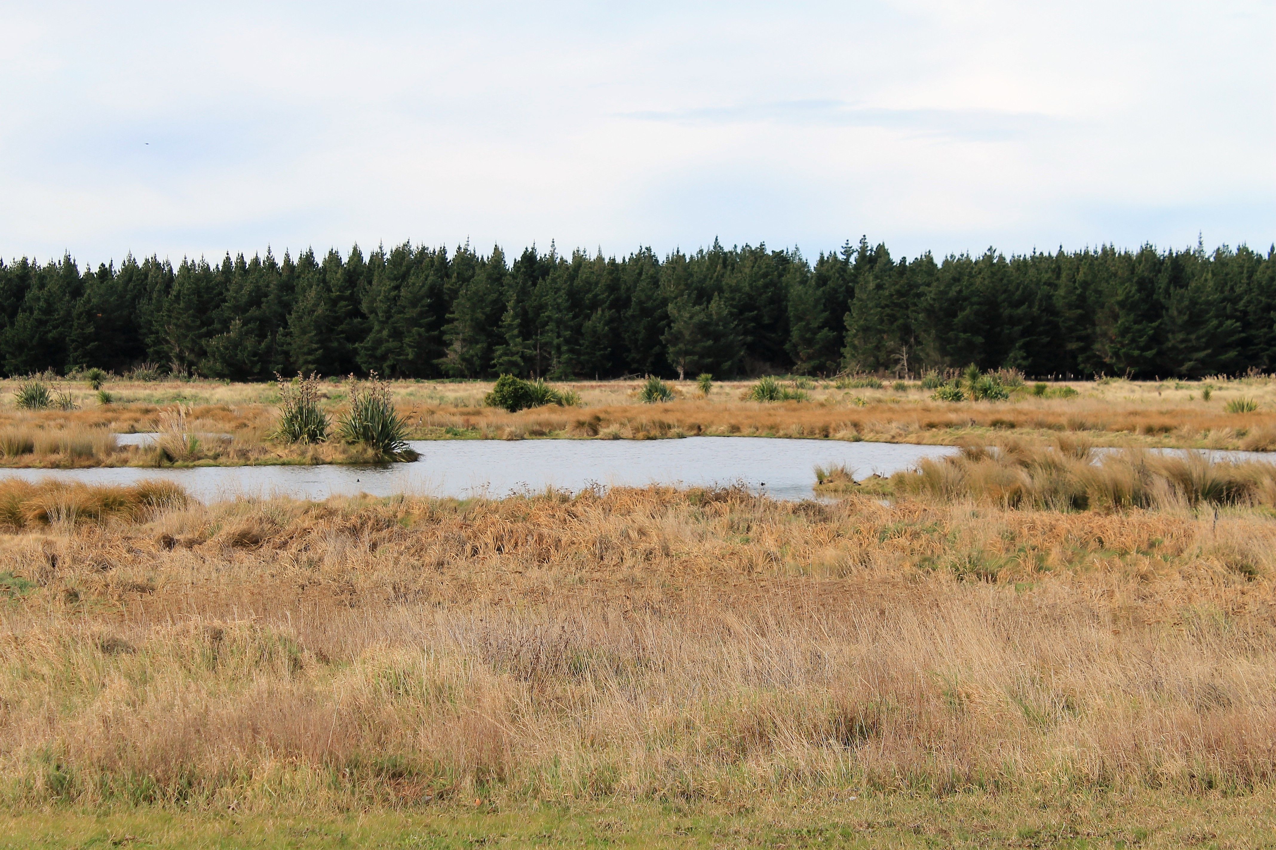 62 Te Kohanga Drive, Pegasus, Waimakariri District