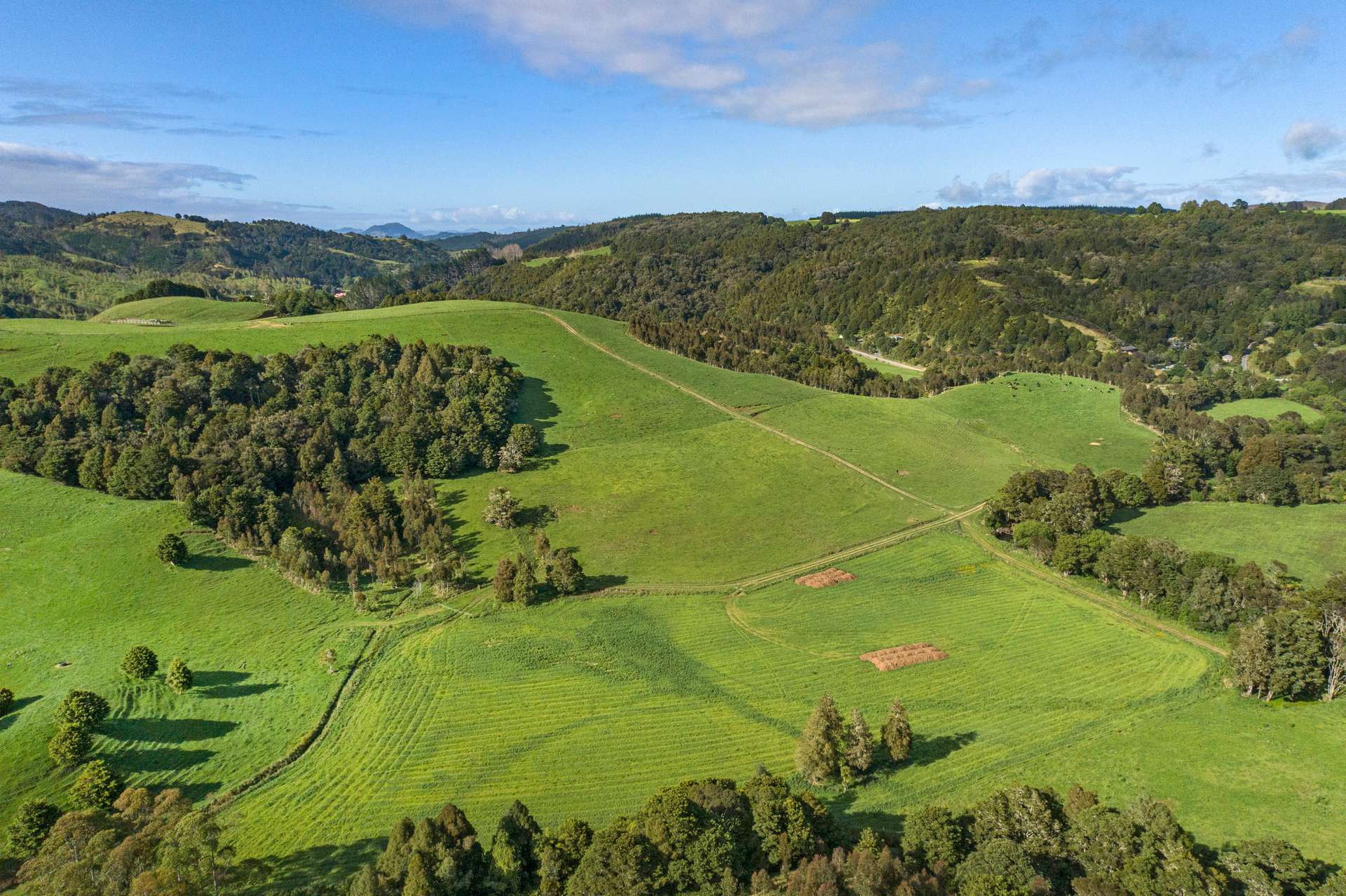 0 Russell Road Airstrip Block photo 6