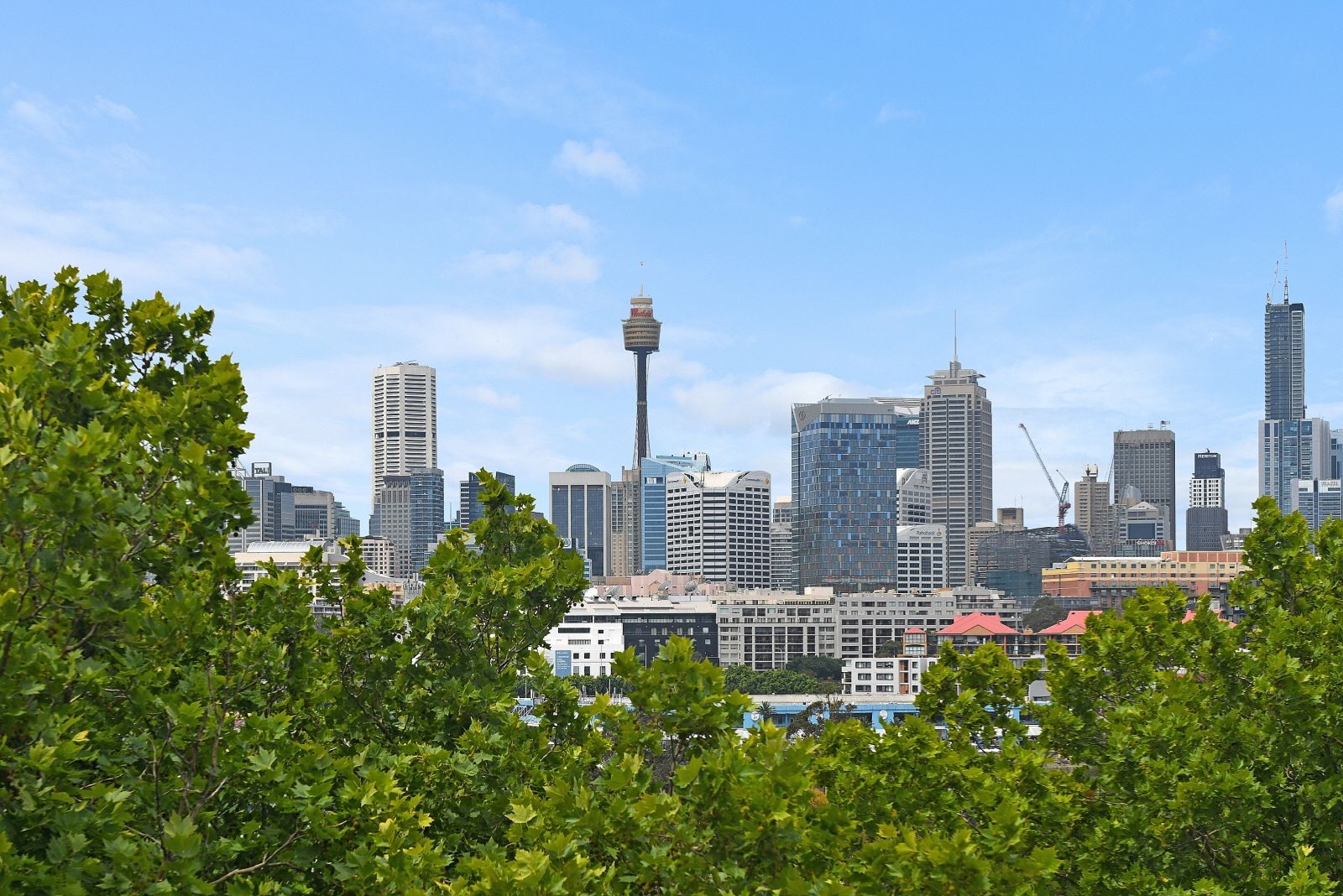 12/19 Sheehy Street, Glebe, NSW 2037