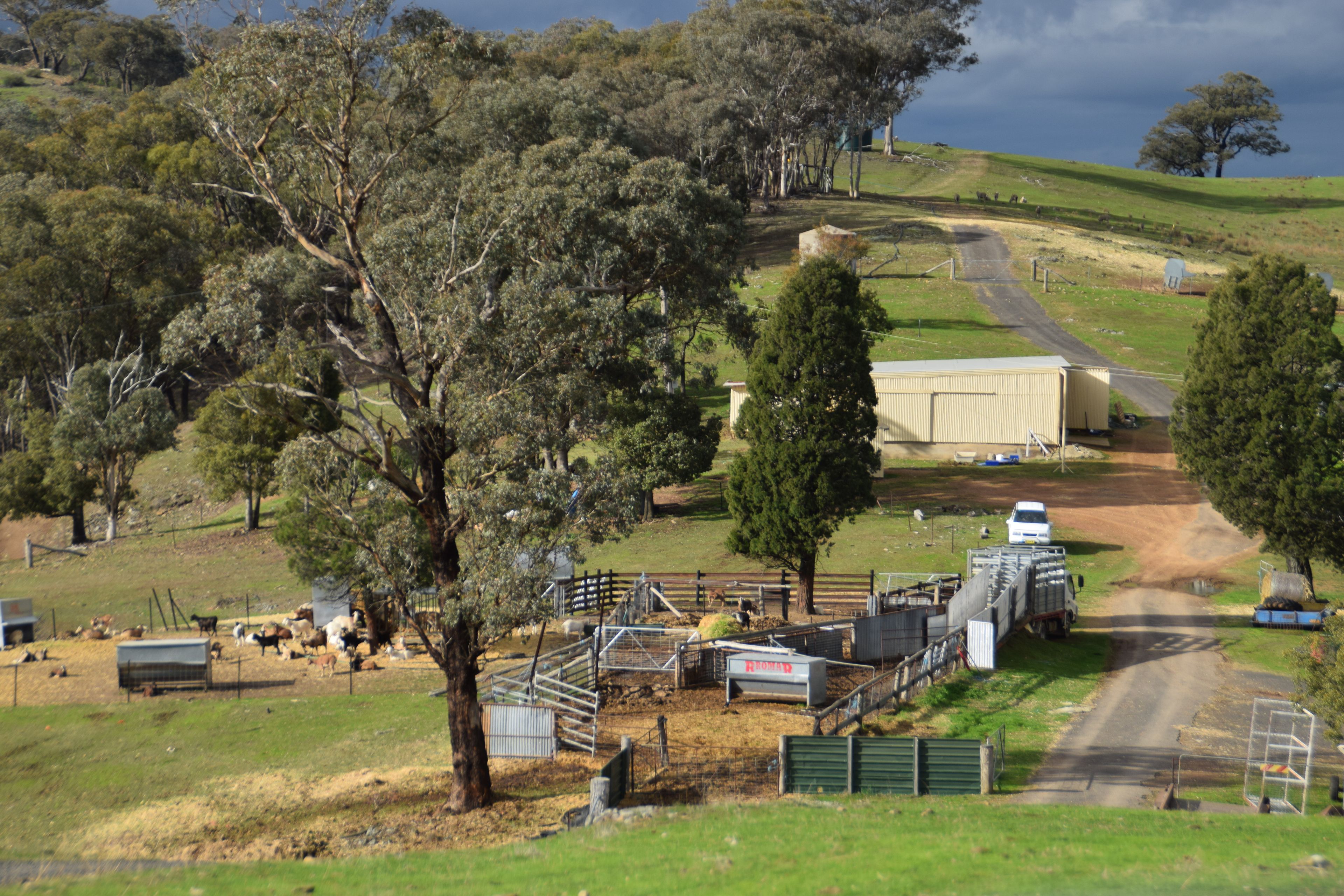 'Morella' 1257 Bundalah Road — photo 7 of 29