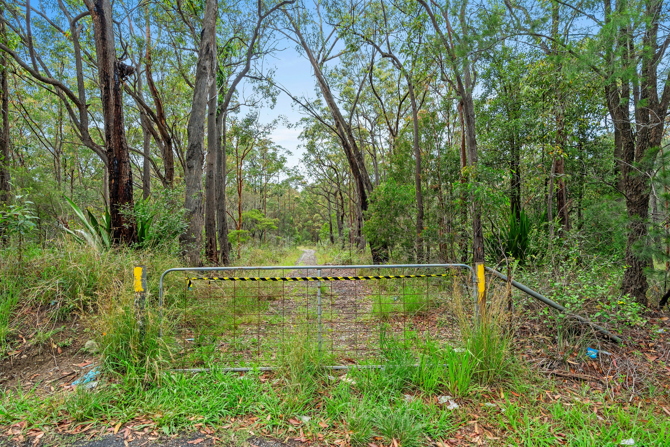 56 Redgum Close, Freemans Waterhole, NSW 2323
