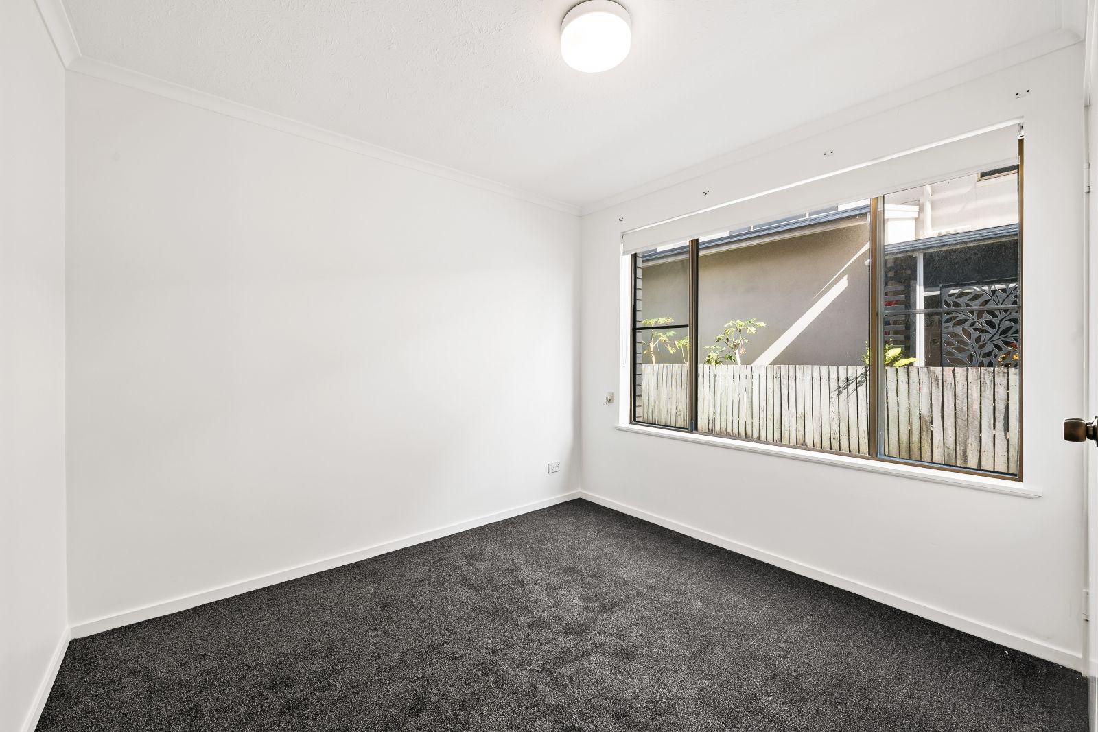 3/123 Bradman Avenue, Maroochydore, QLD 4558