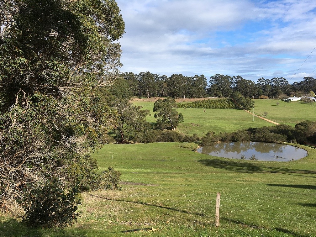 39 Lantzke Road, Denmark, WA 6333