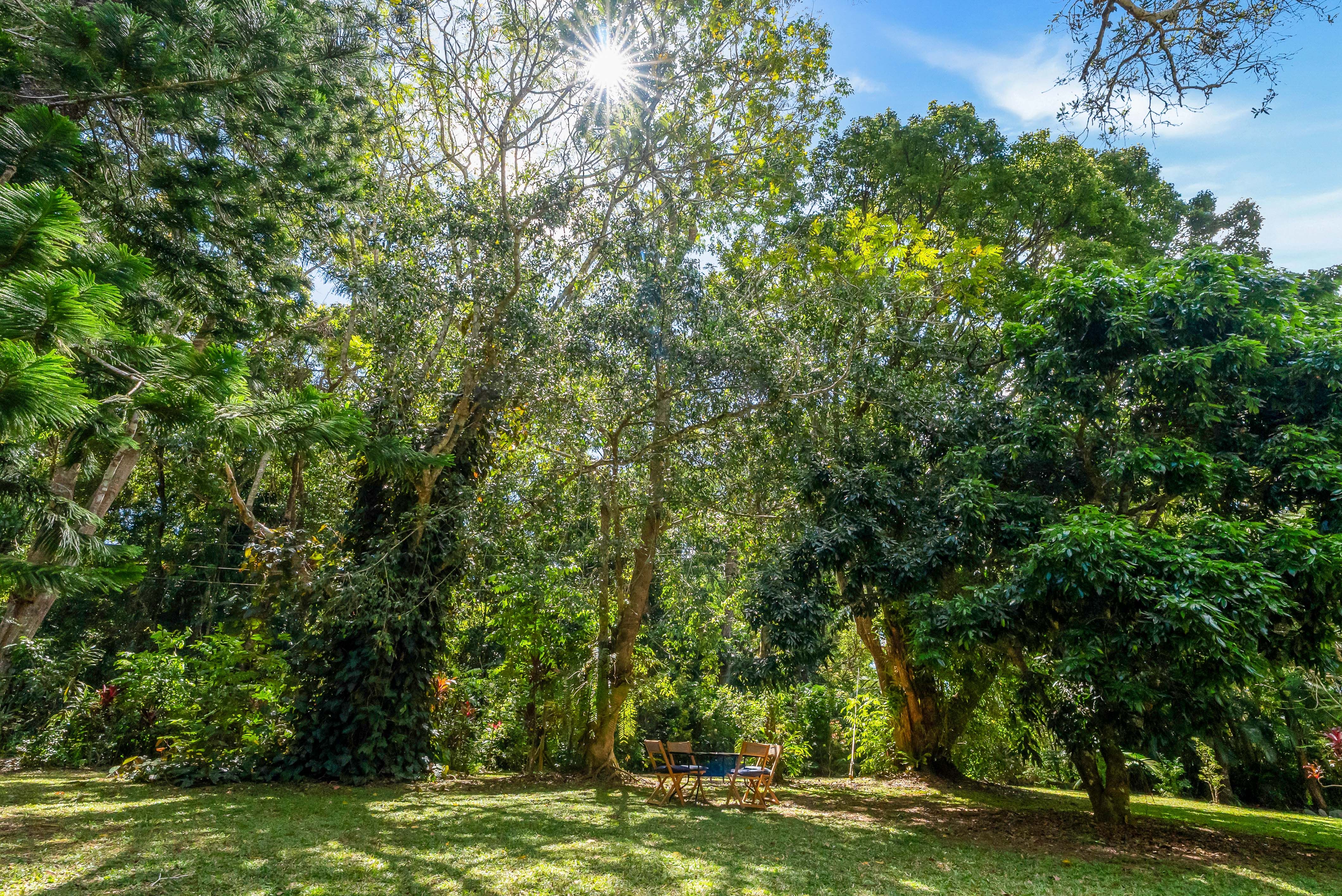 59 High Chapparal Road — photo 28 of 30